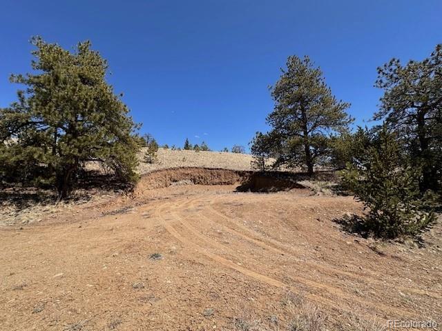 2972 Fitzsimmons Hartsel CO 80449