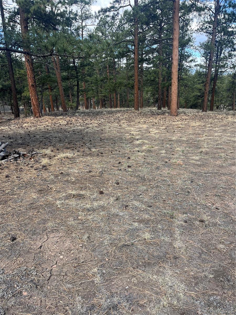185 Sioux Trail Westcliffe CO 81252