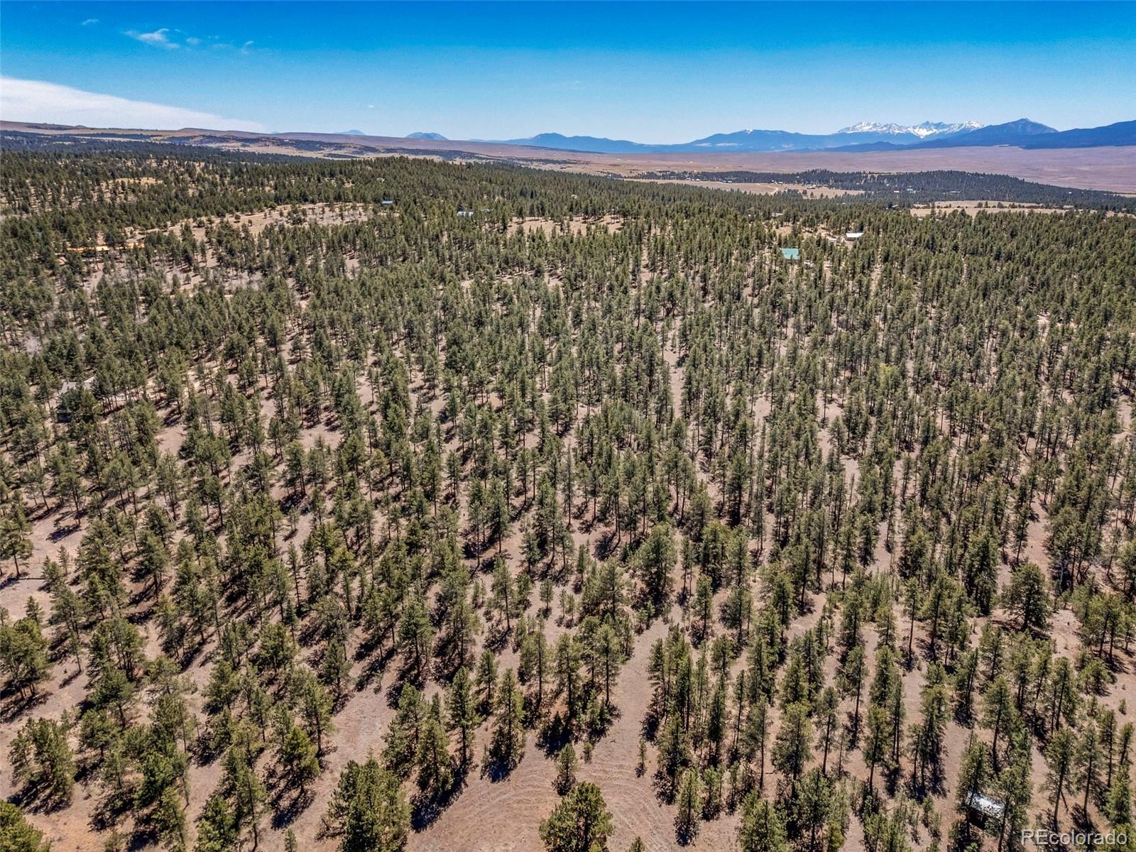 185 Sioux Trail Westcliffe CO 81252
