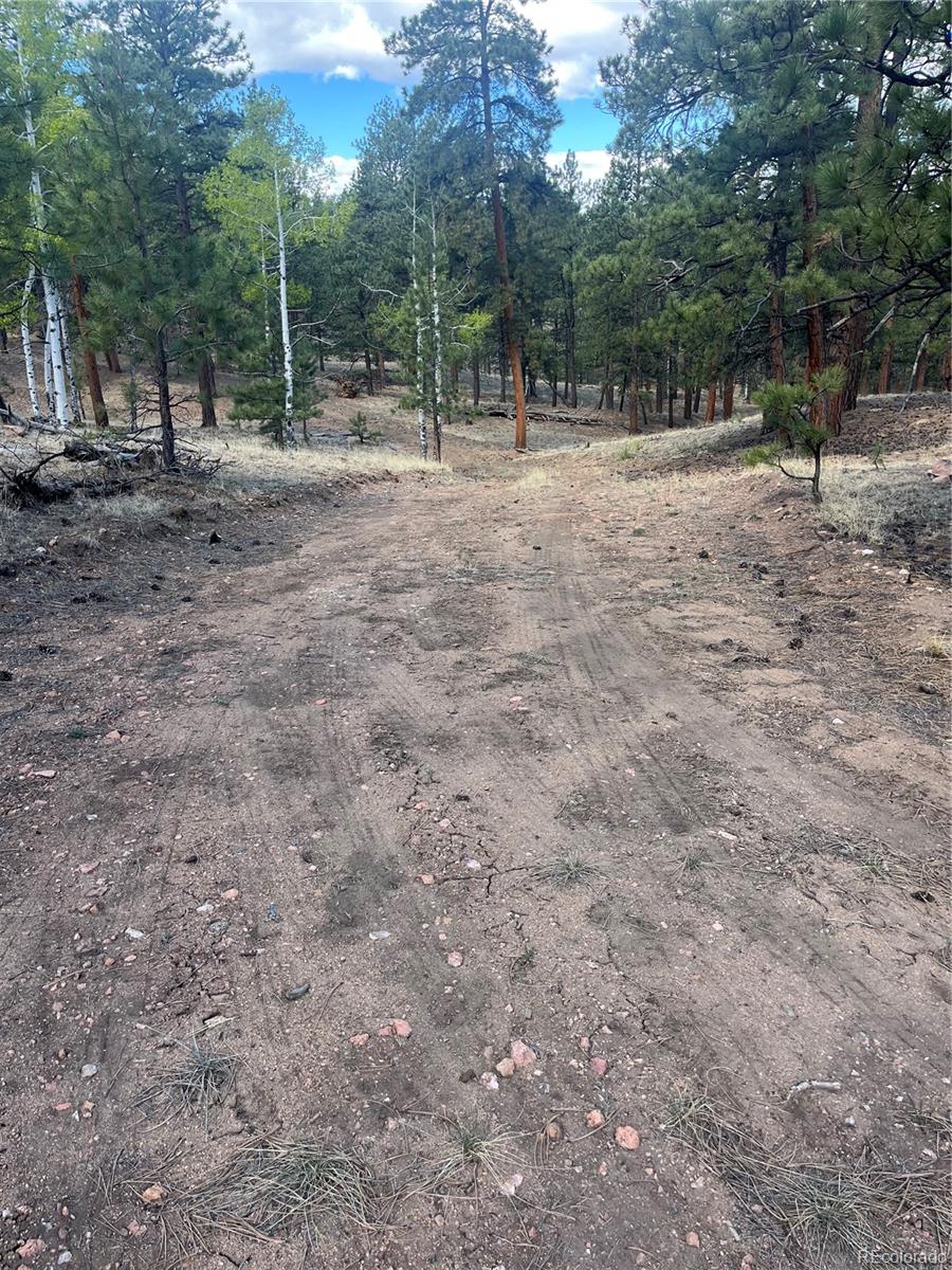 185 Sioux Trail Westcliffe CO 81252