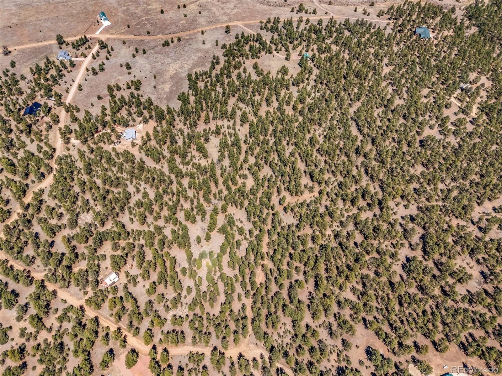 185 Sioux Trail Westcliffe CO 81252