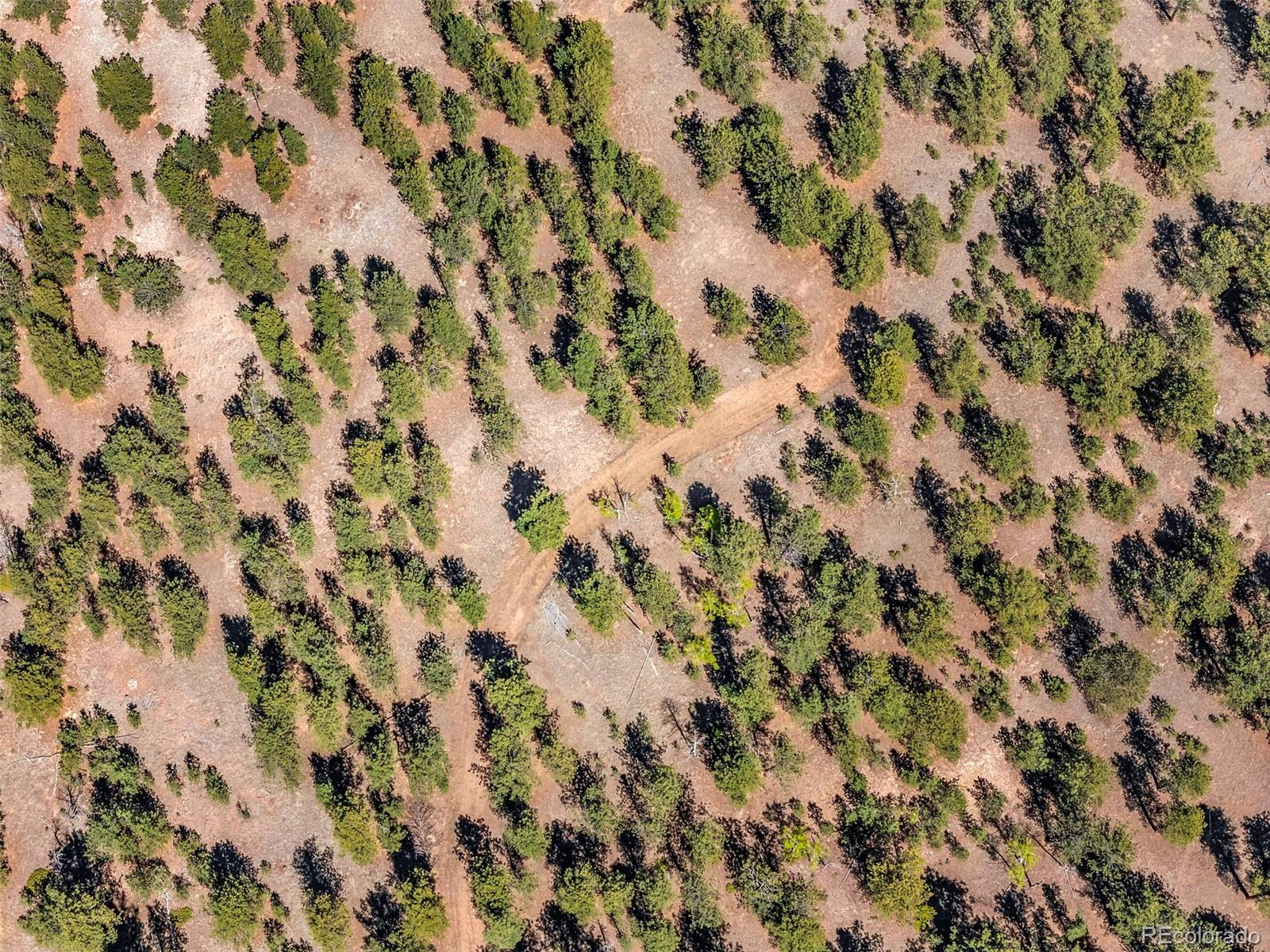 185 Sioux Trail Westcliffe CO 81252