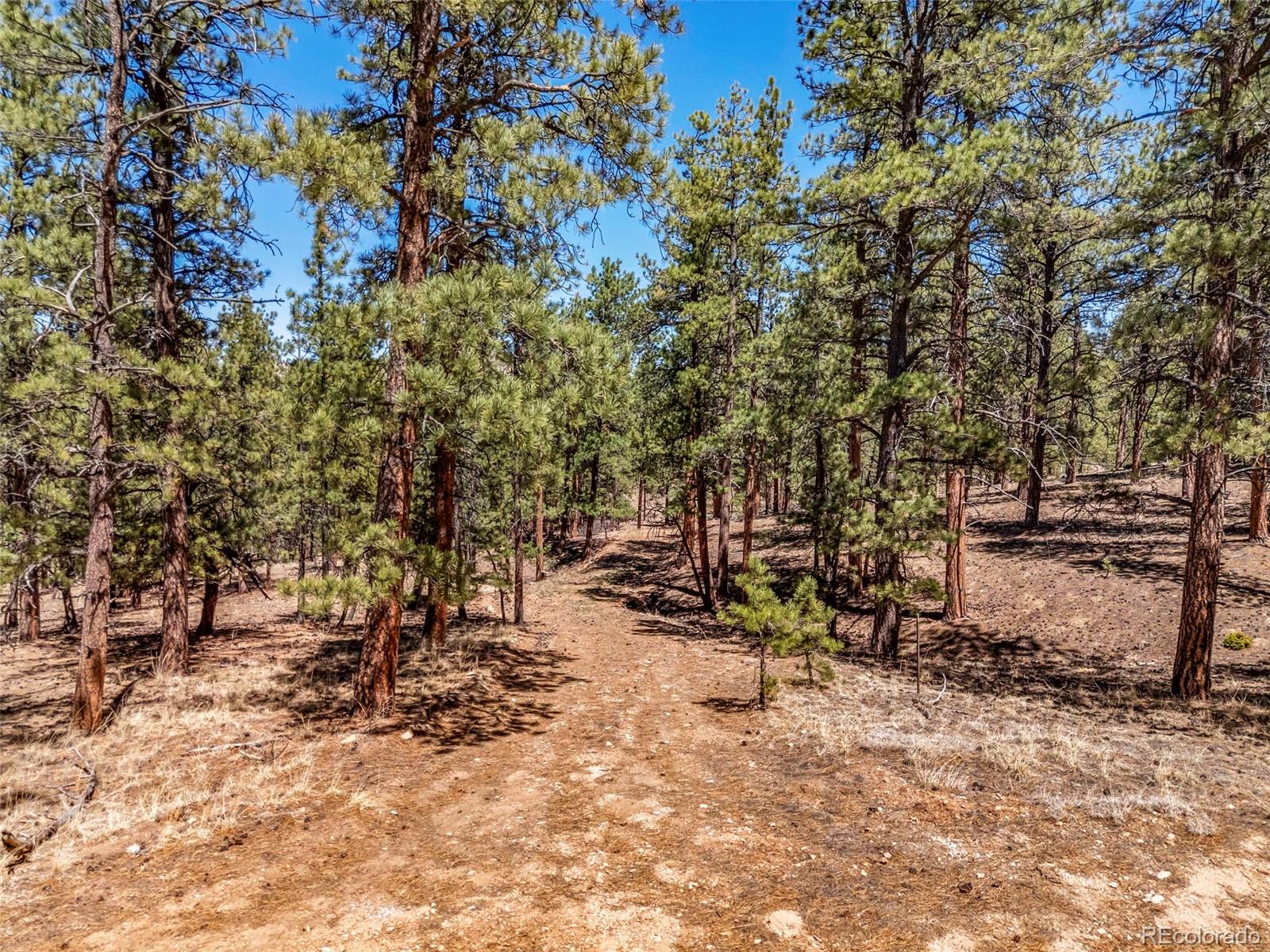 185 Sioux Trail Westcliffe CO 81252