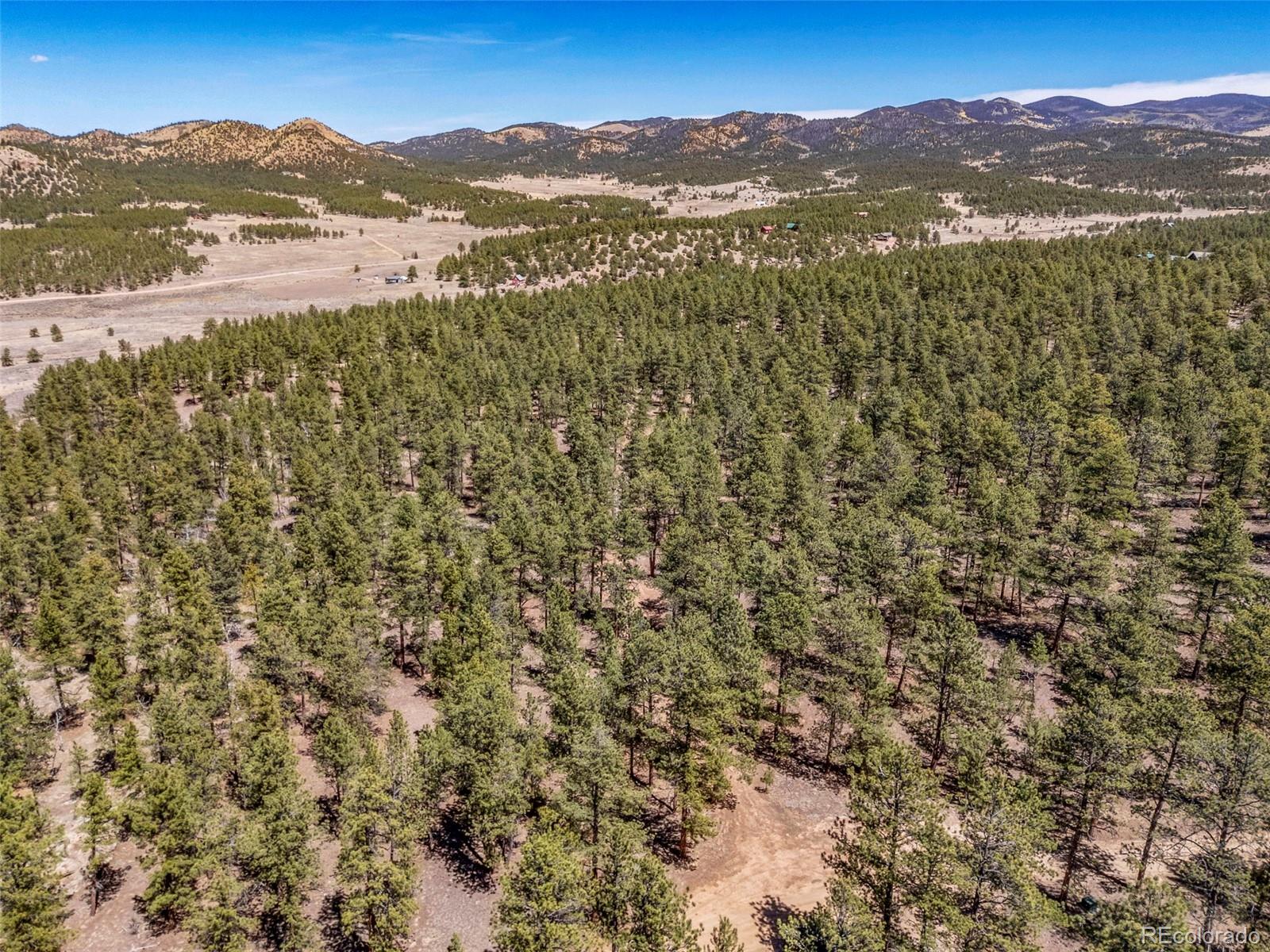 185 Sioux Trail Westcliffe CO 81252
