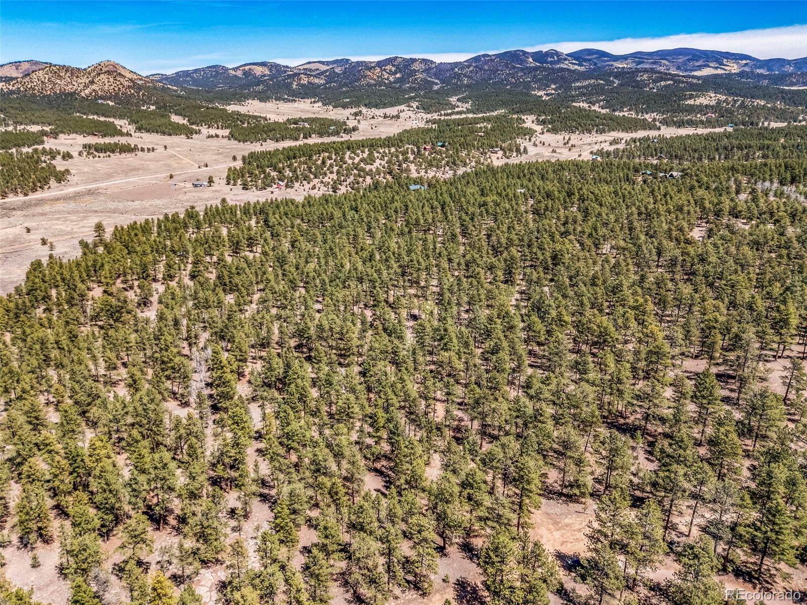 185 Sioux Trail Westcliffe CO 81252
