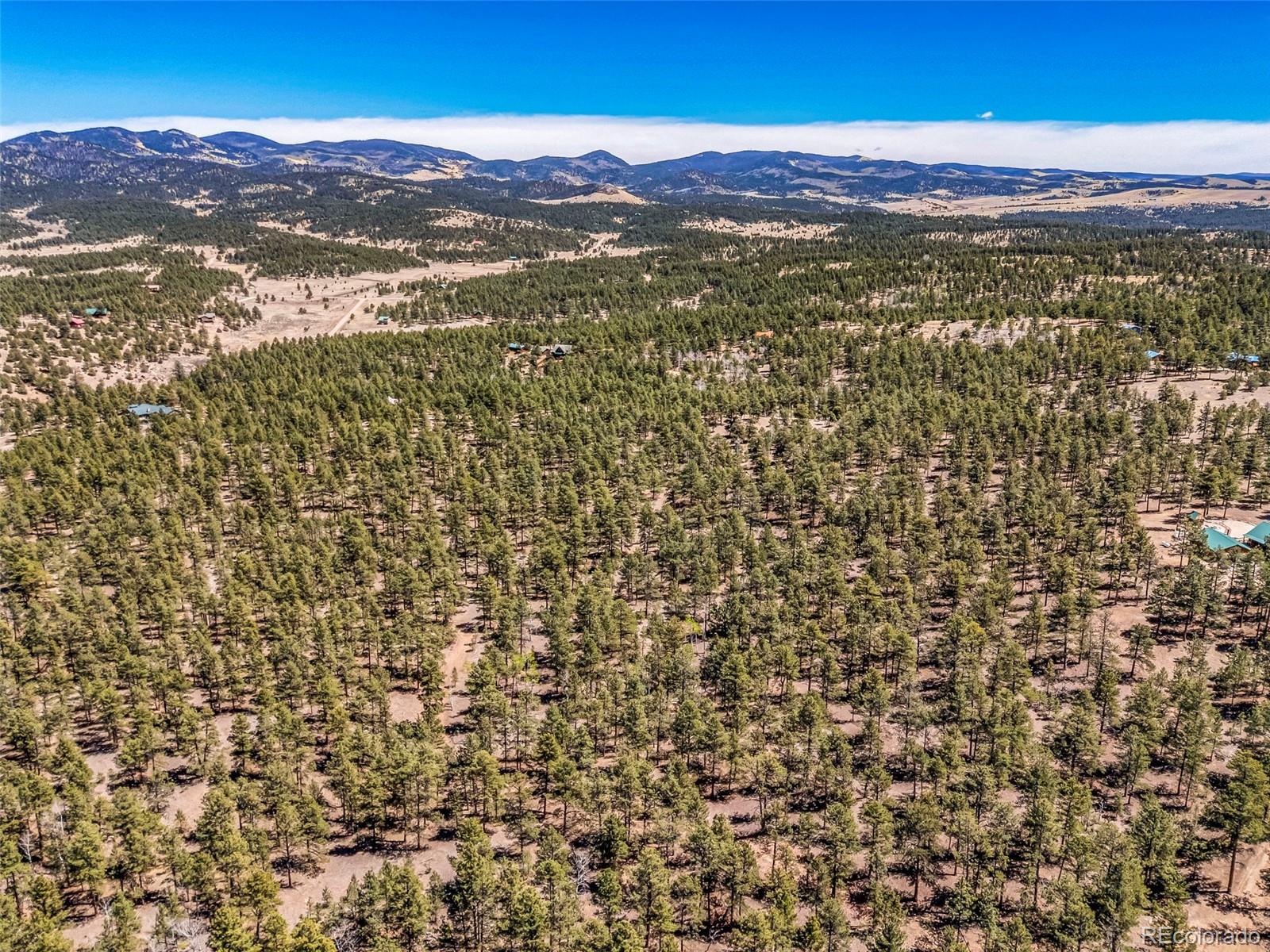 185 Sioux Trail Westcliffe CO 81252