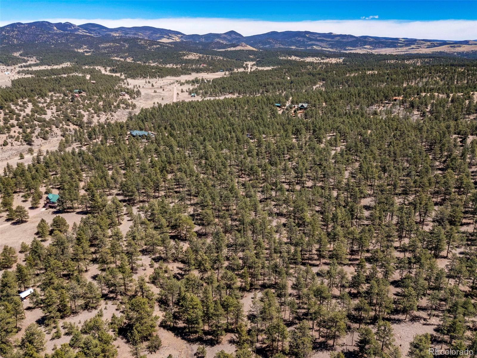 185 Sioux Trail Westcliffe CO 81252