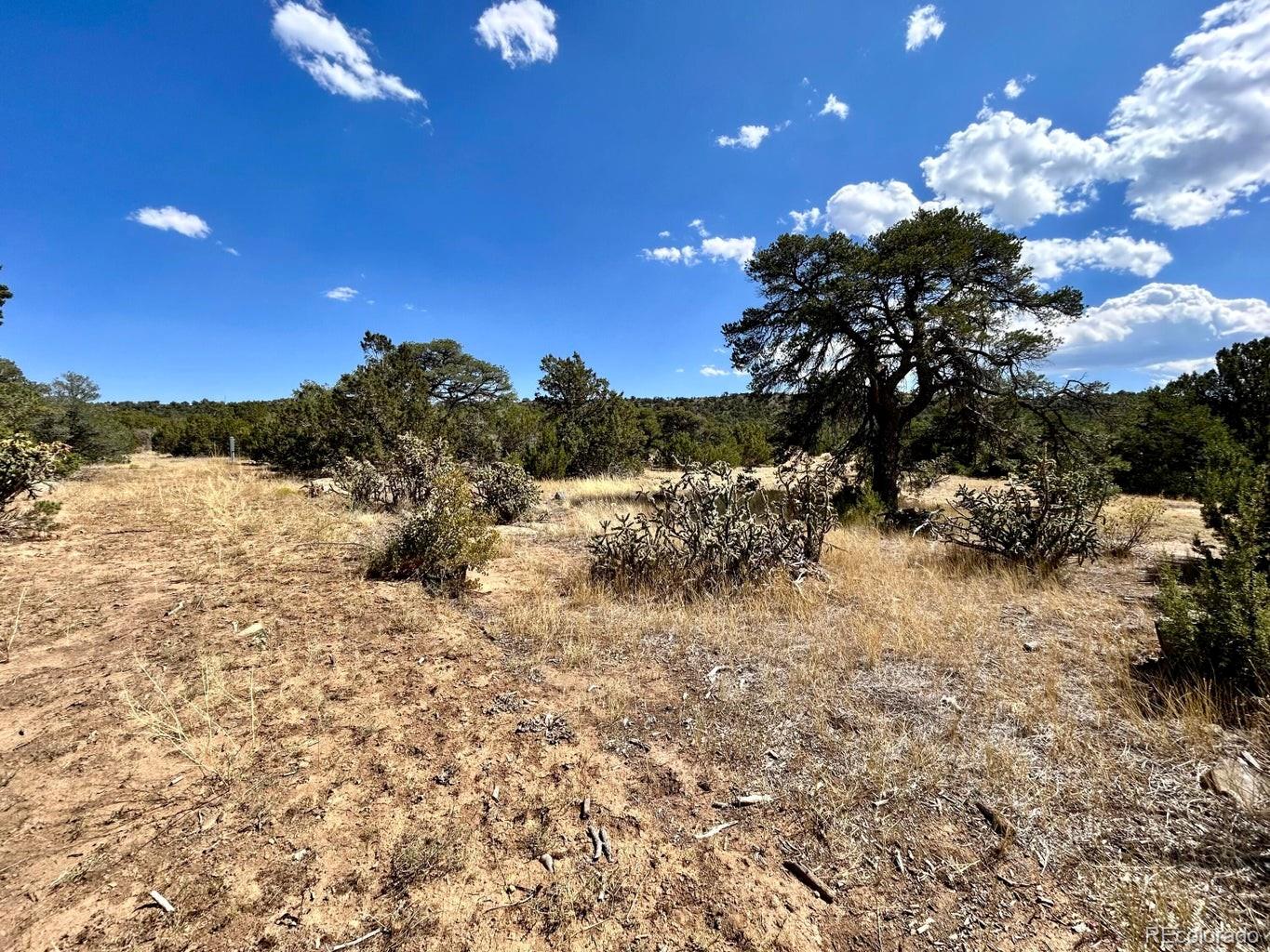 Lot 919 Los Vaqueros Circle Walsenburg CO 81089