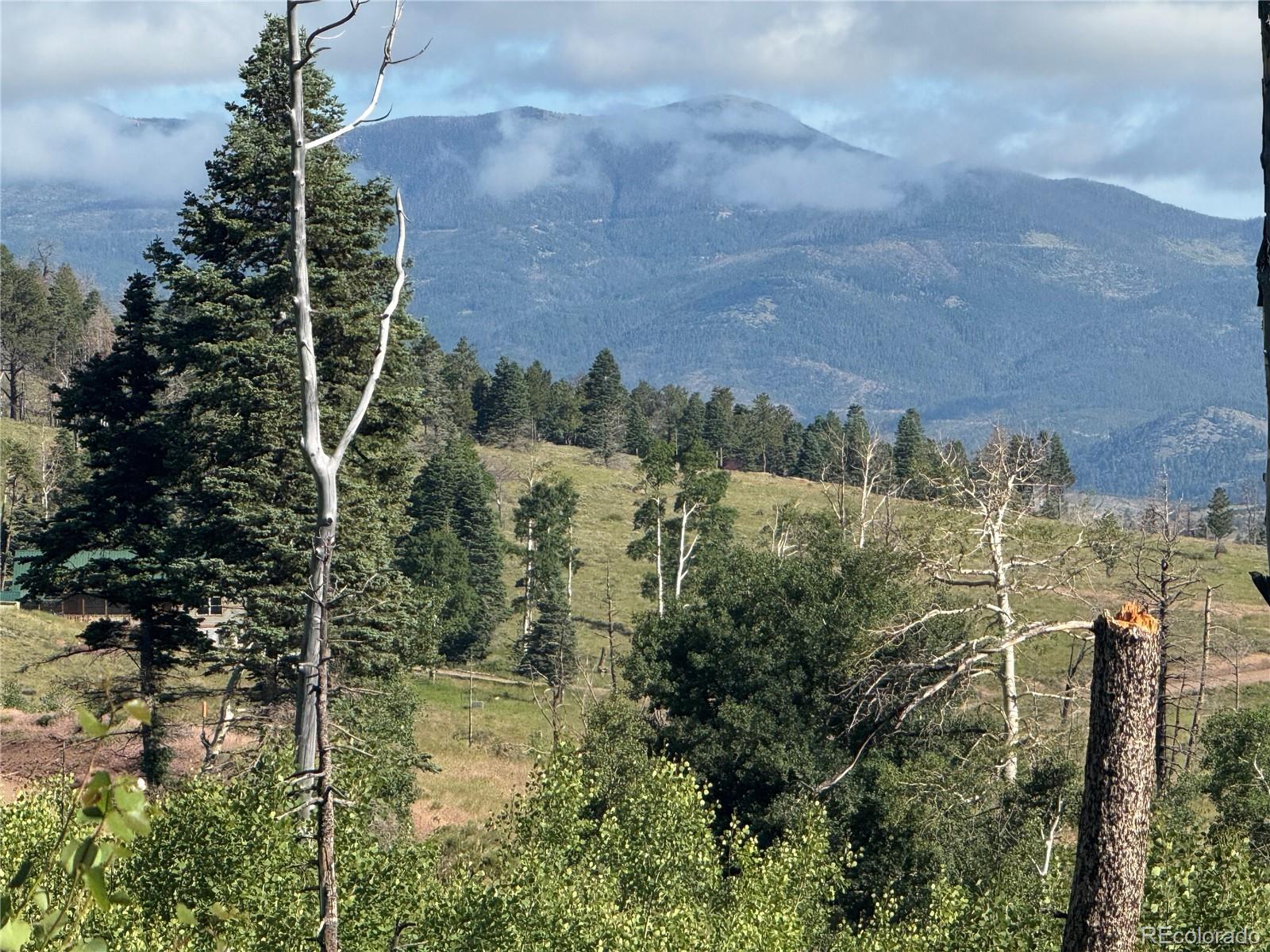 Lot 775 Forbes Park Road Fort Garland CO 81133