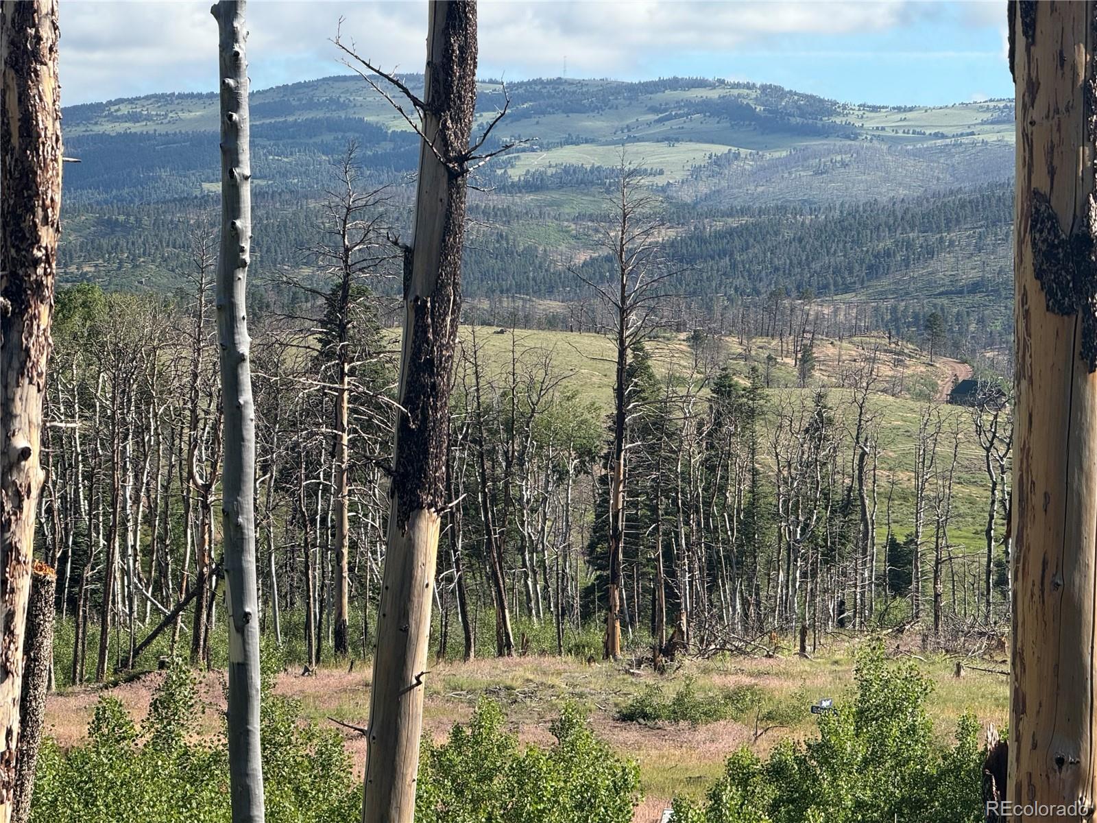 Lot 775 Forbes Park Road Fort Garland CO 81133