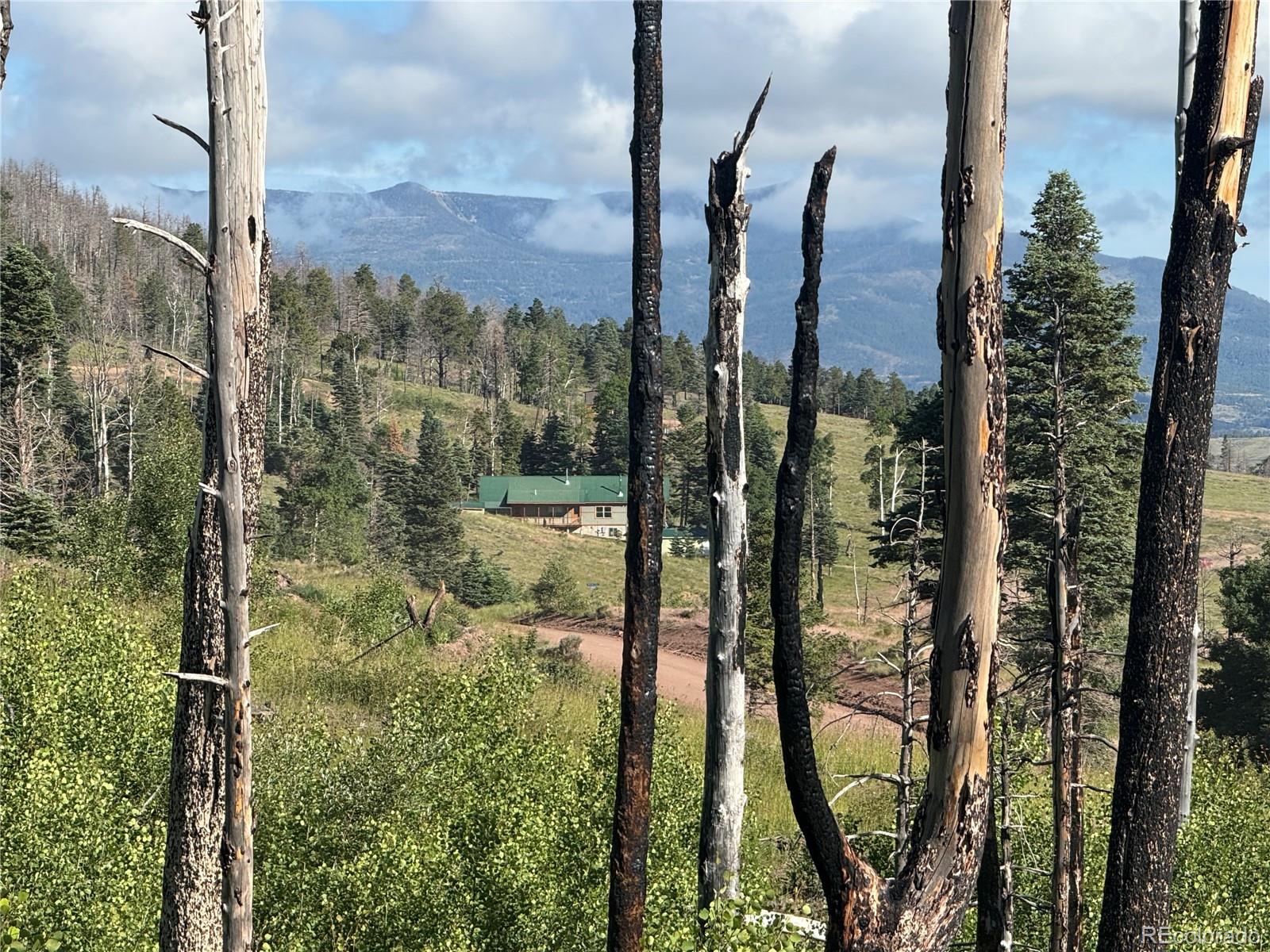 Lot 775 Forbes Park Road Fort Garland CO 81133