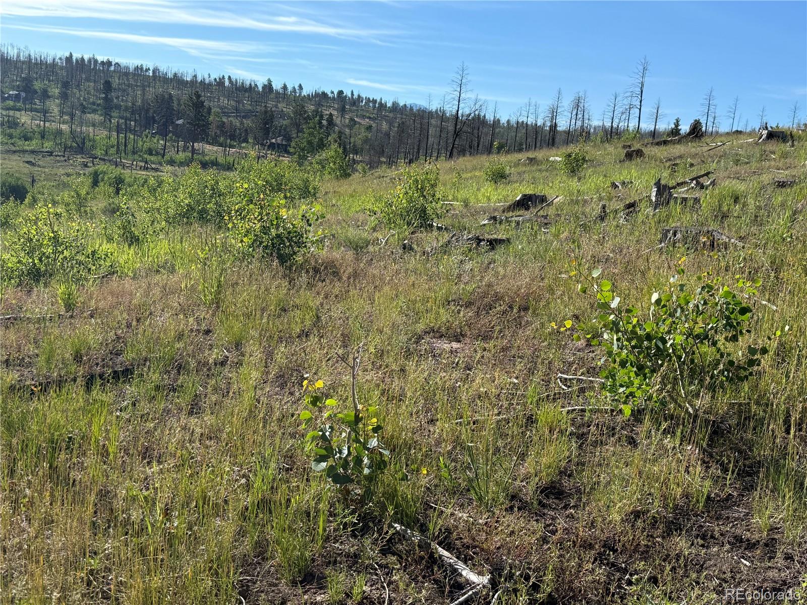 Lot 775 Forbes Park Road Fort Garland CO 81133
