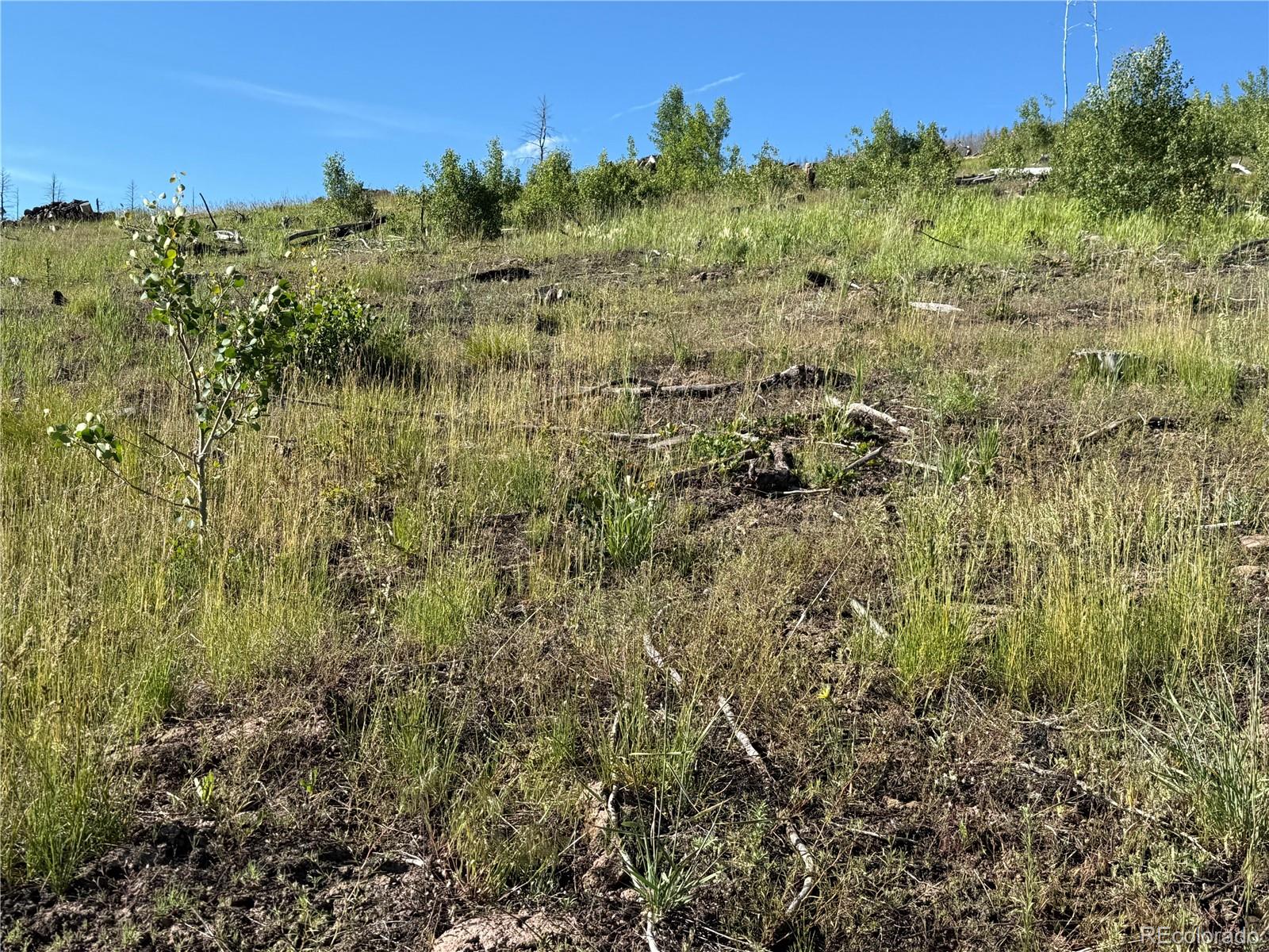 Lot 775 Forbes Park Road Fort Garland CO 81133