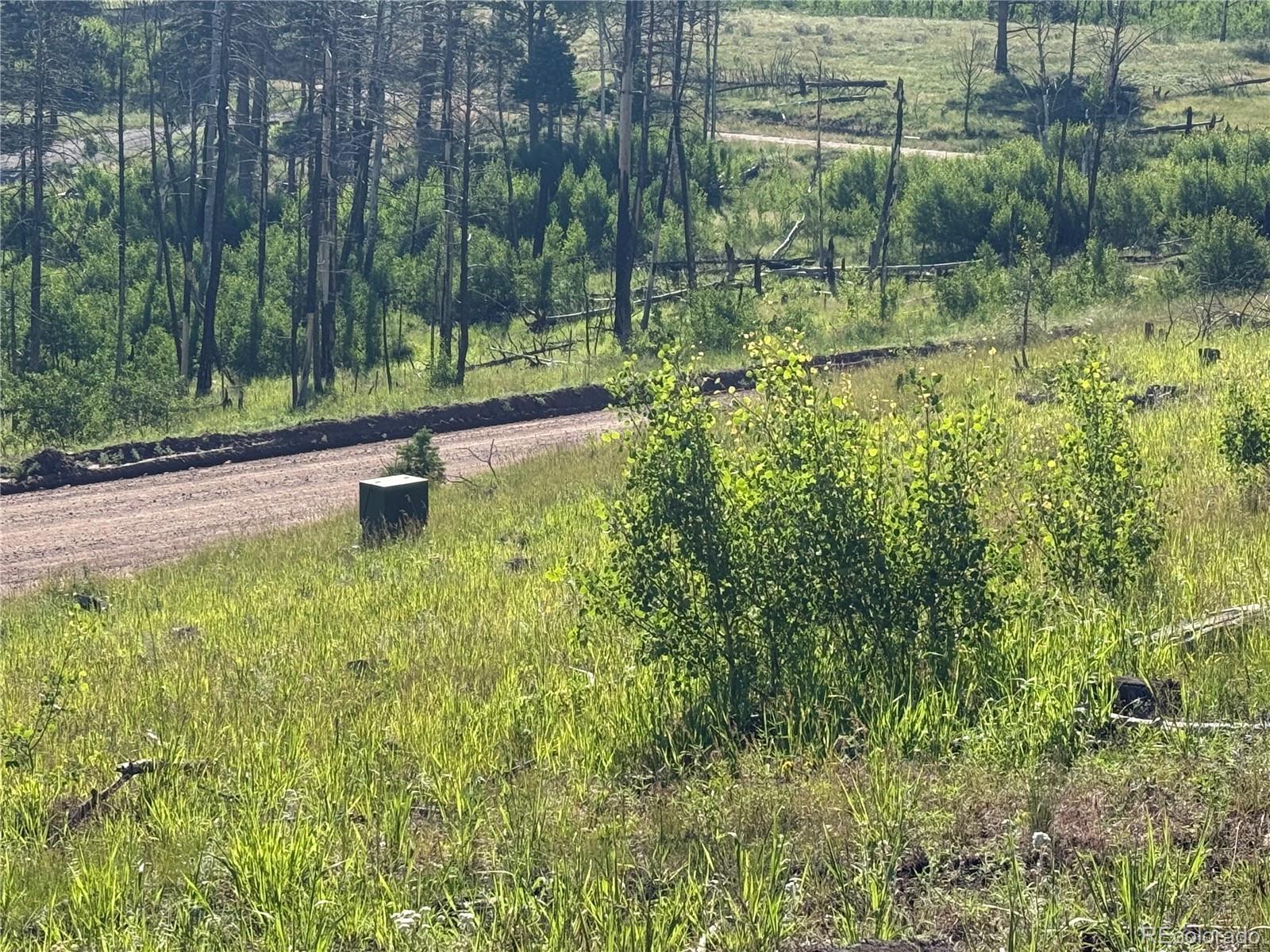 Lot 775 Forbes Park Road Fort Garland CO 81133