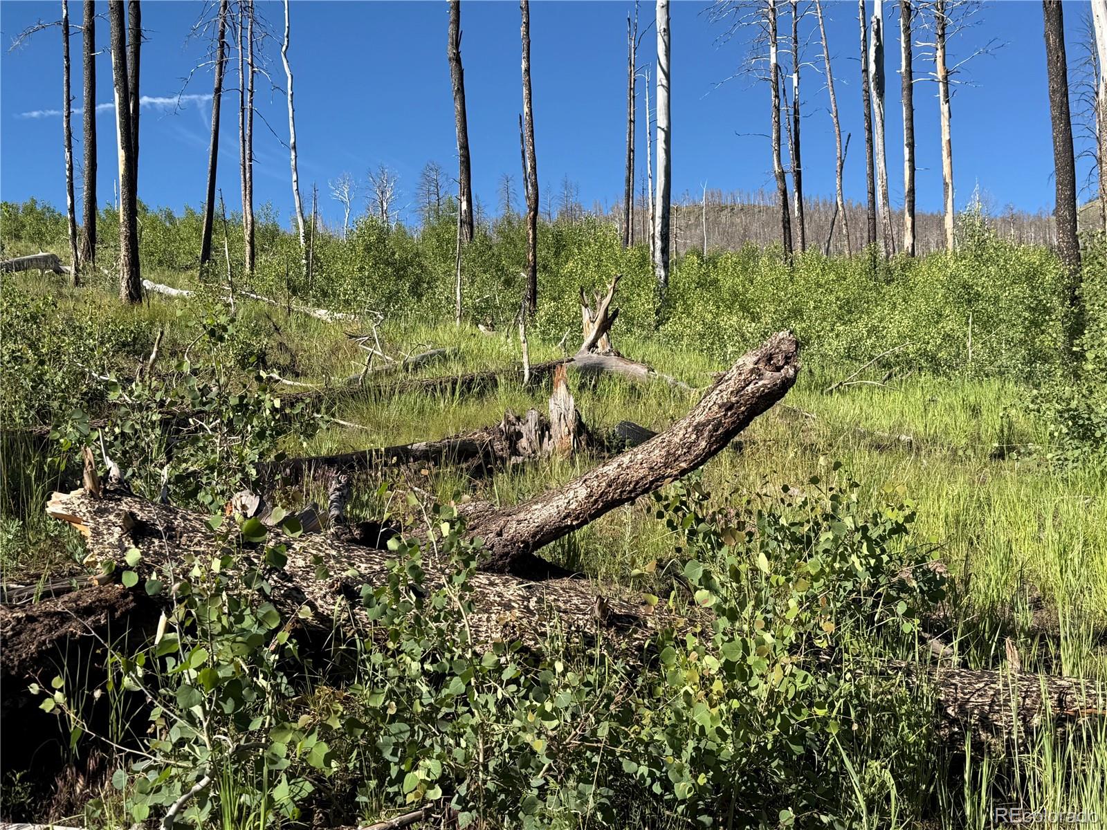 Lot 775 Forbes Park Road Fort Garland CO 81133