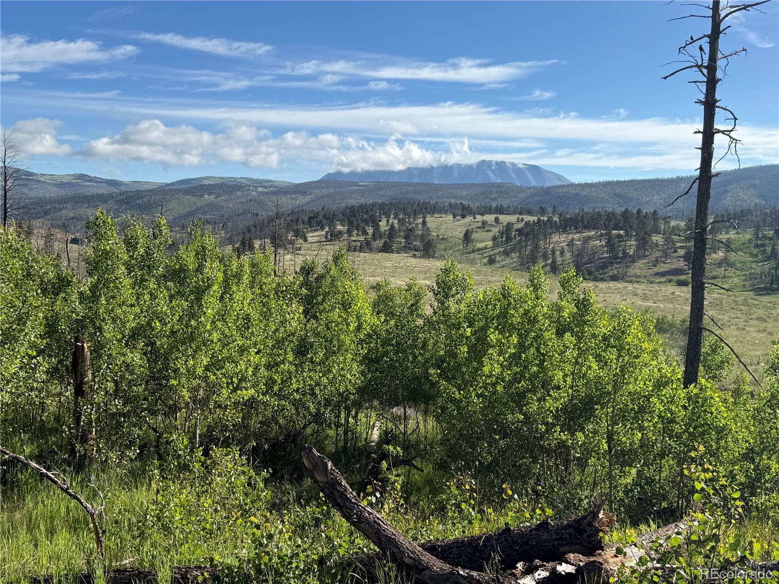 Lot 775 Forbes Park Road Fort Garland CO 81133