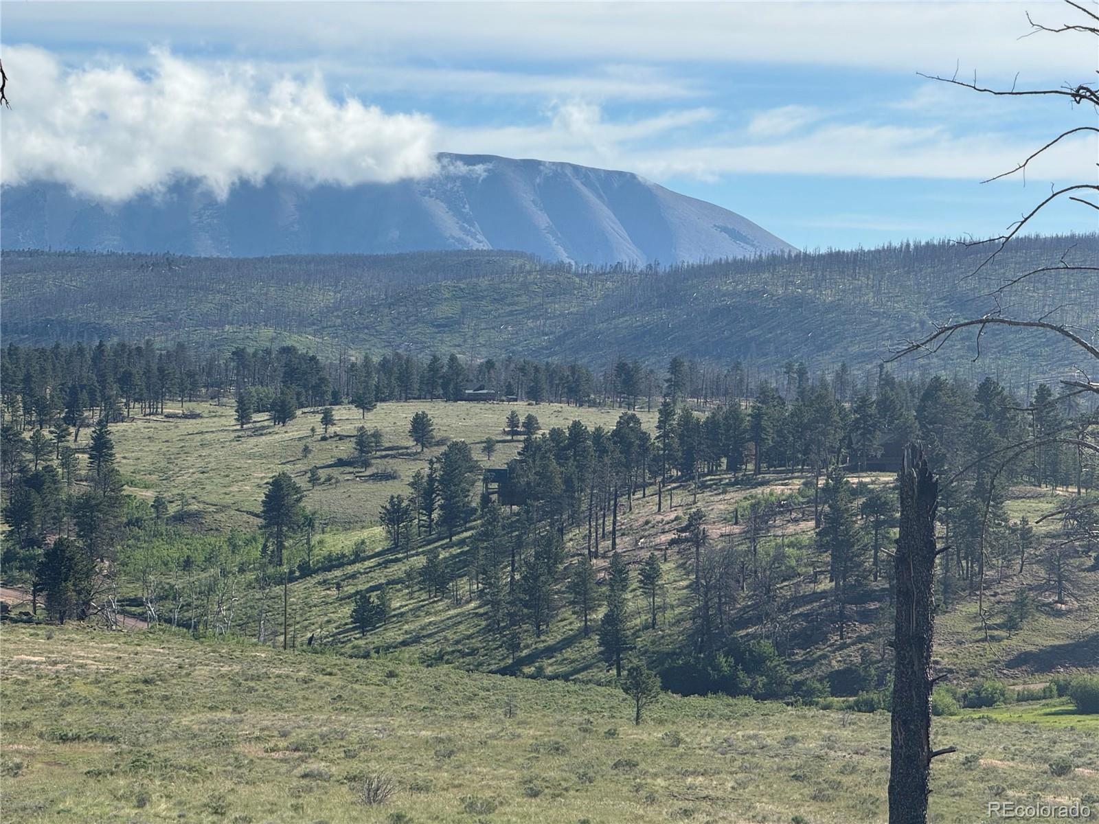 Lot 775 Forbes Park Road Fort Garland CO 81133