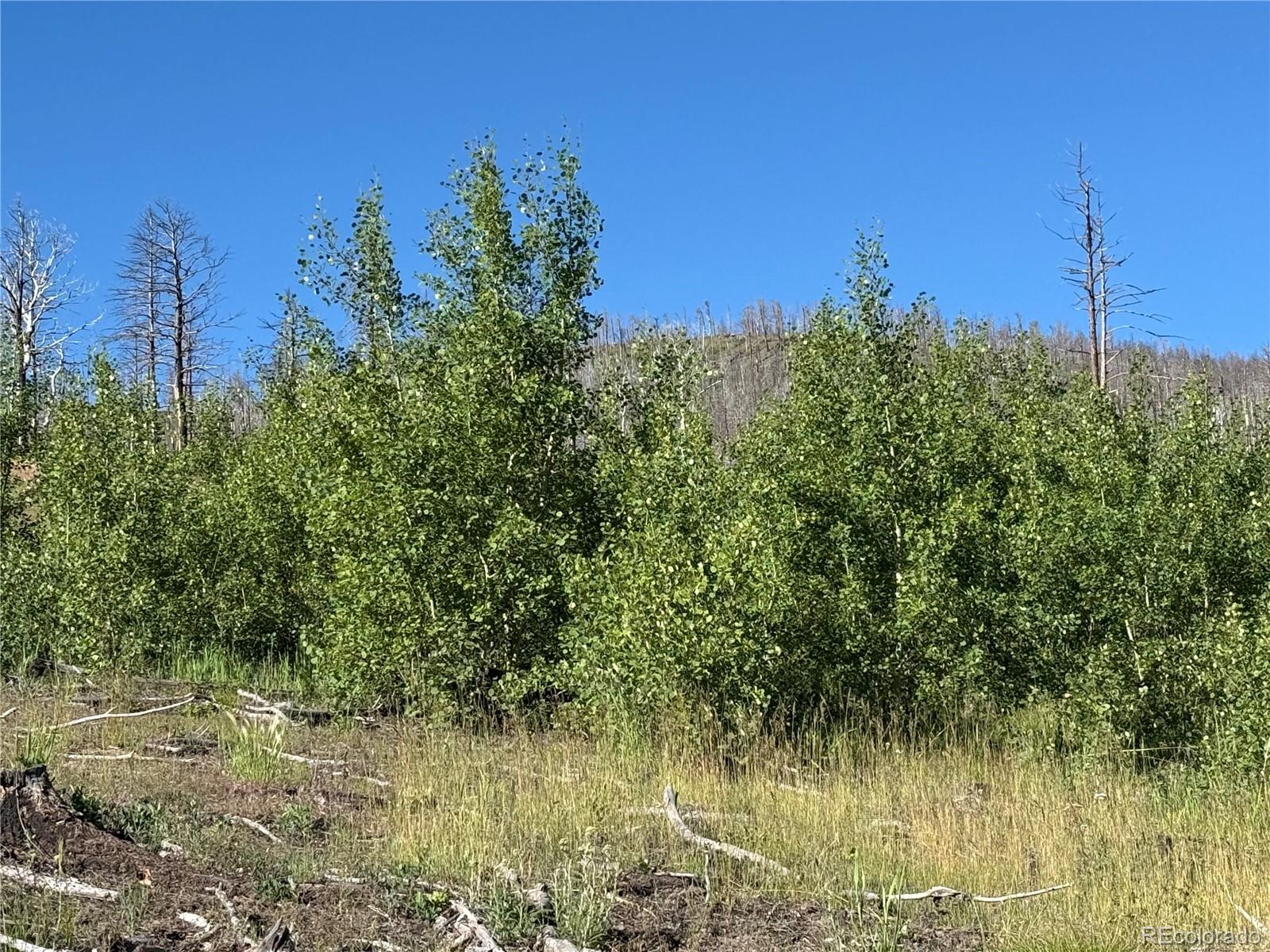 Lot 775 Forbes Park Road Fort Garland CO 81133