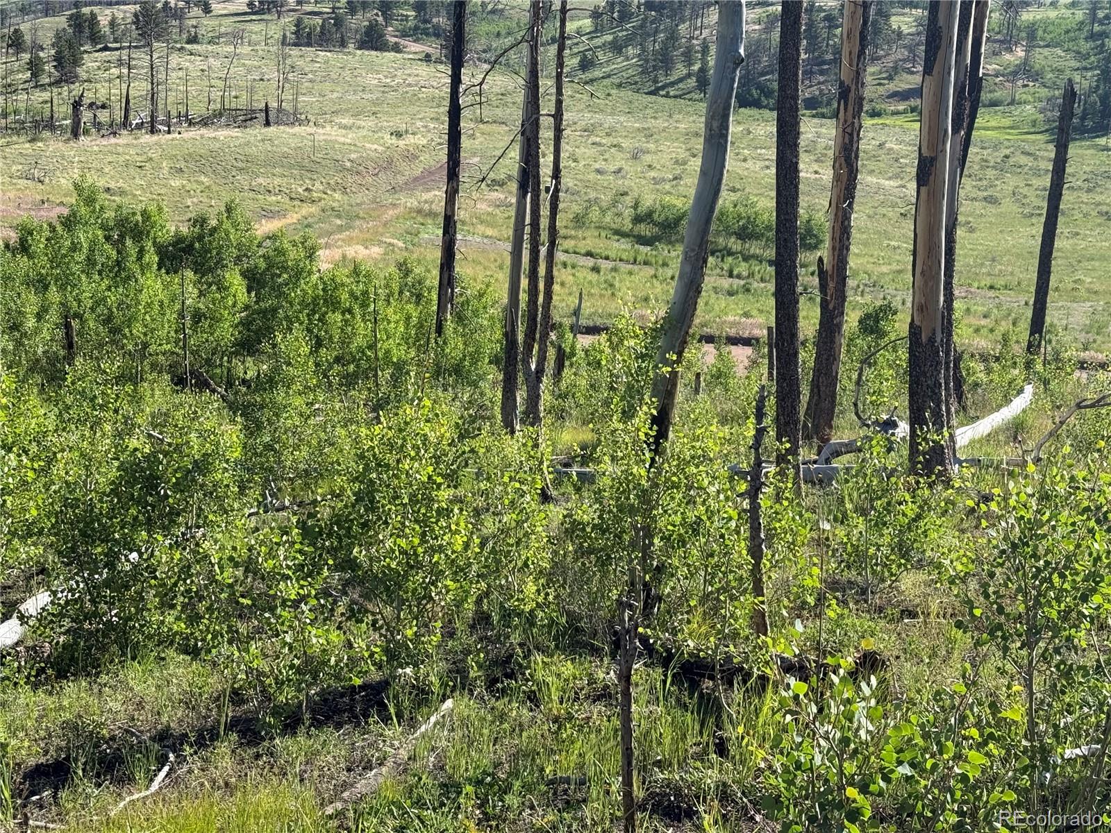 Lot 775 Forbes Park Road Fort Garland CO 81133