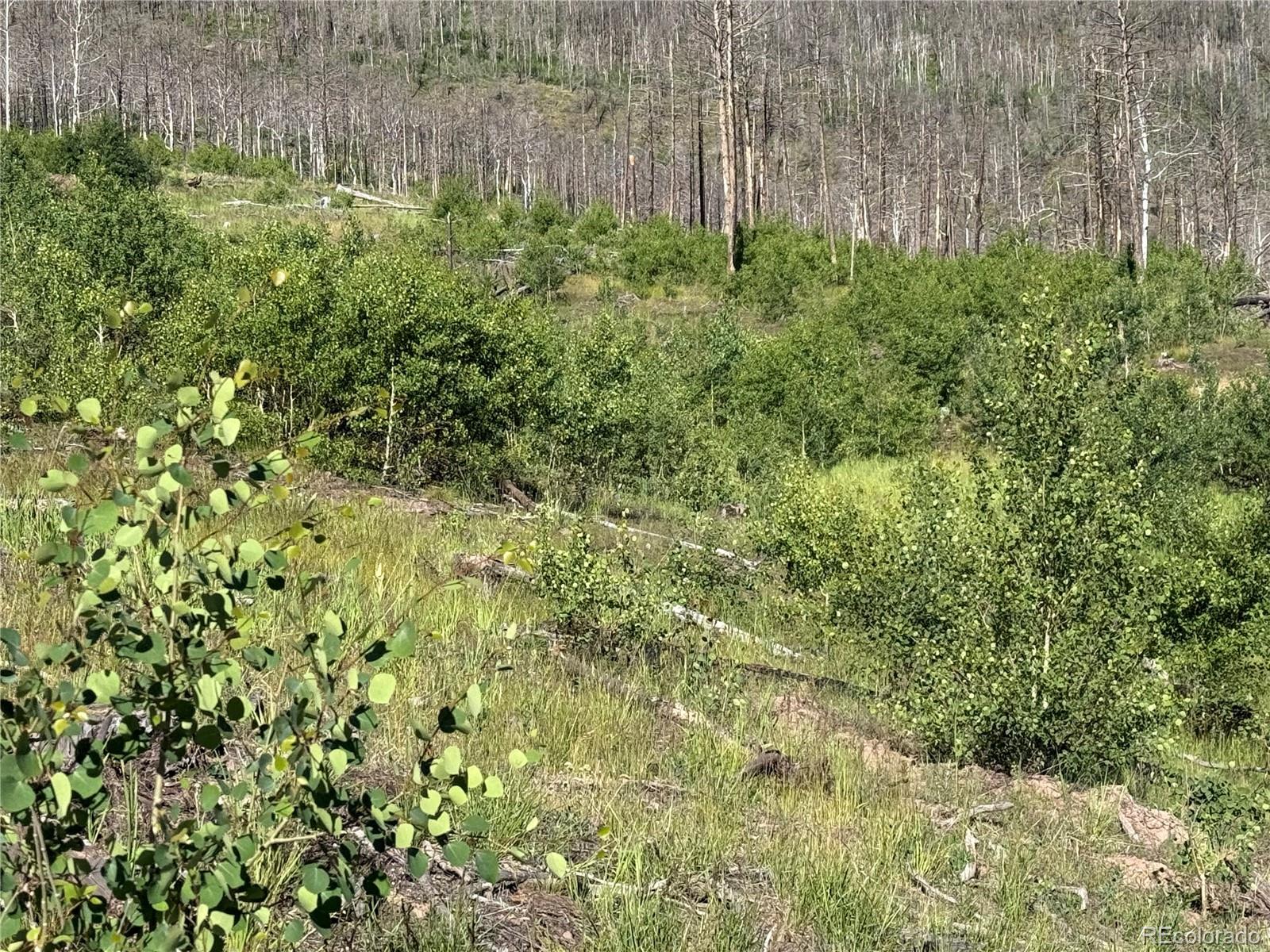 Lot 775 Forbes Park Road Fort Garland CO 81133
