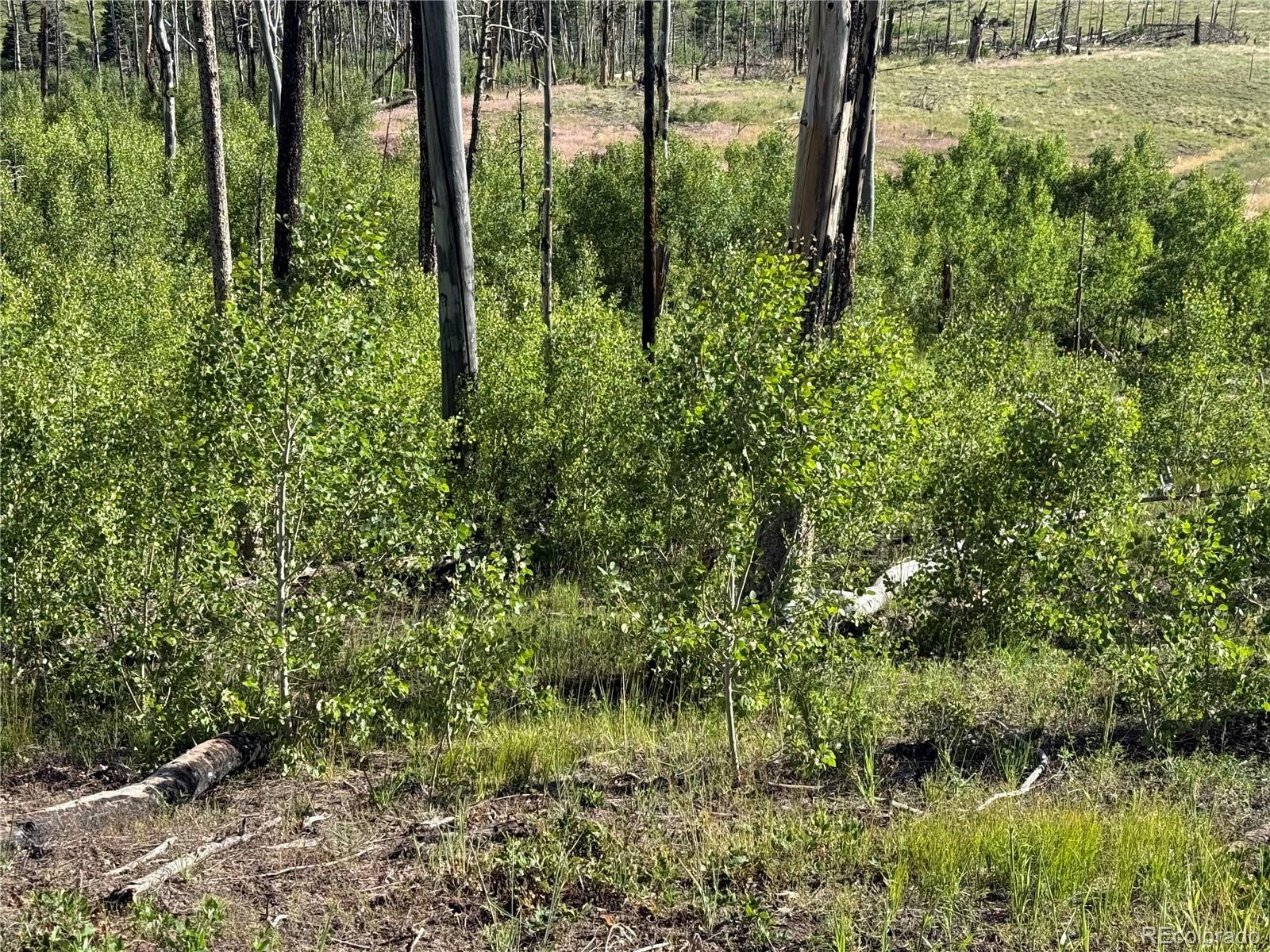 Lot 775 Forbes Park Road Fort Garland CO 81133