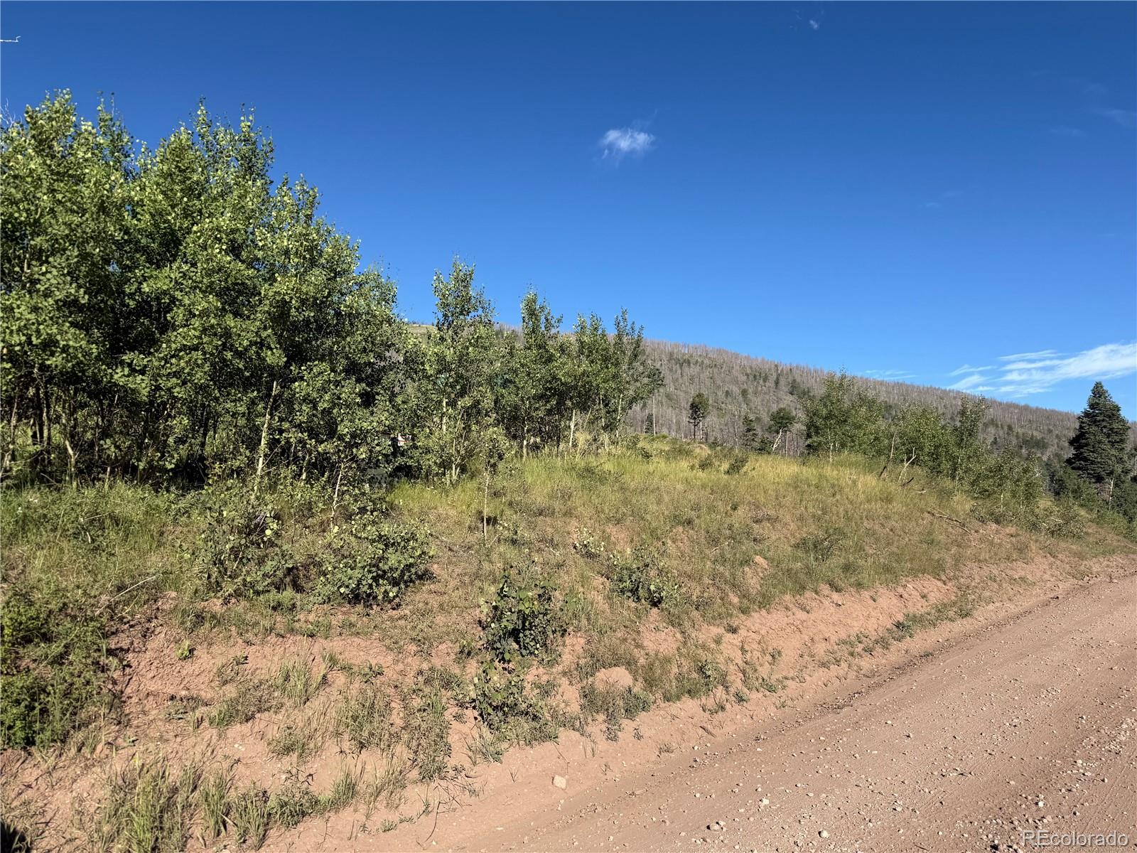 Lot 775 Forbes Park Road Fort Garland CO 81133