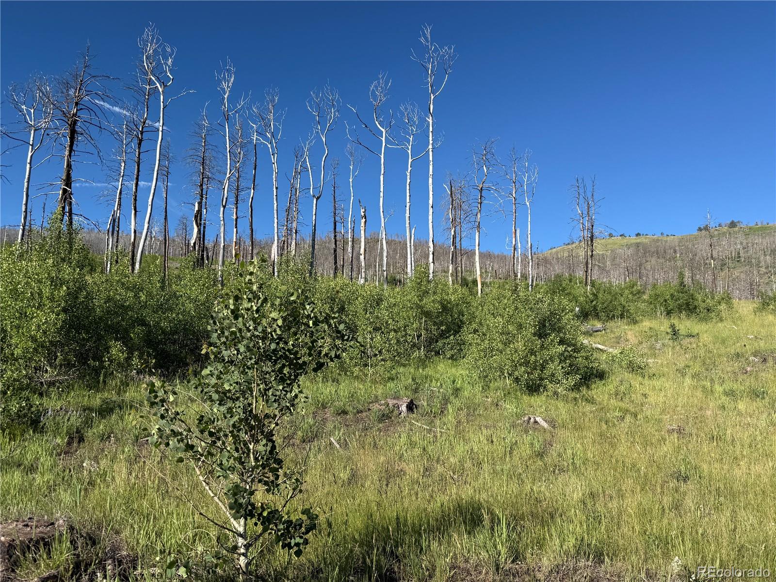 Lot 775 Forbes Park Road Fort Garland CO 81133