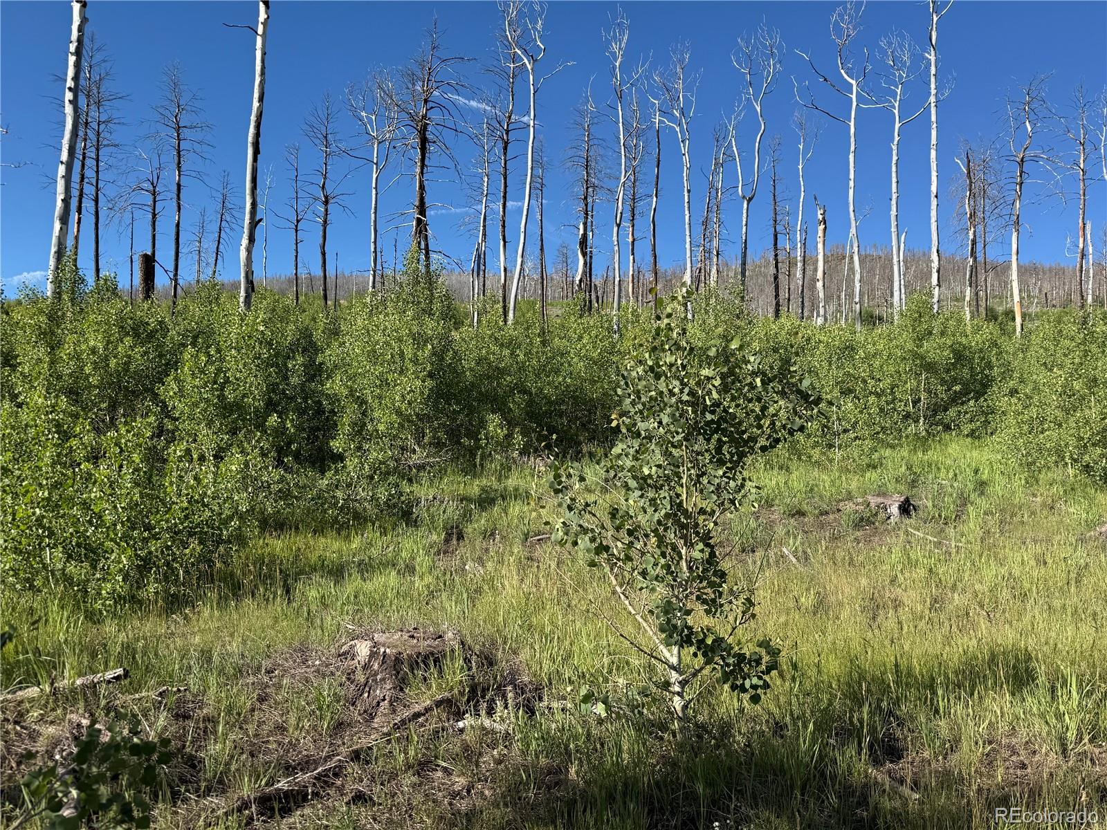 Lot 775 Forbes Park Road Fort Garland CO 81133