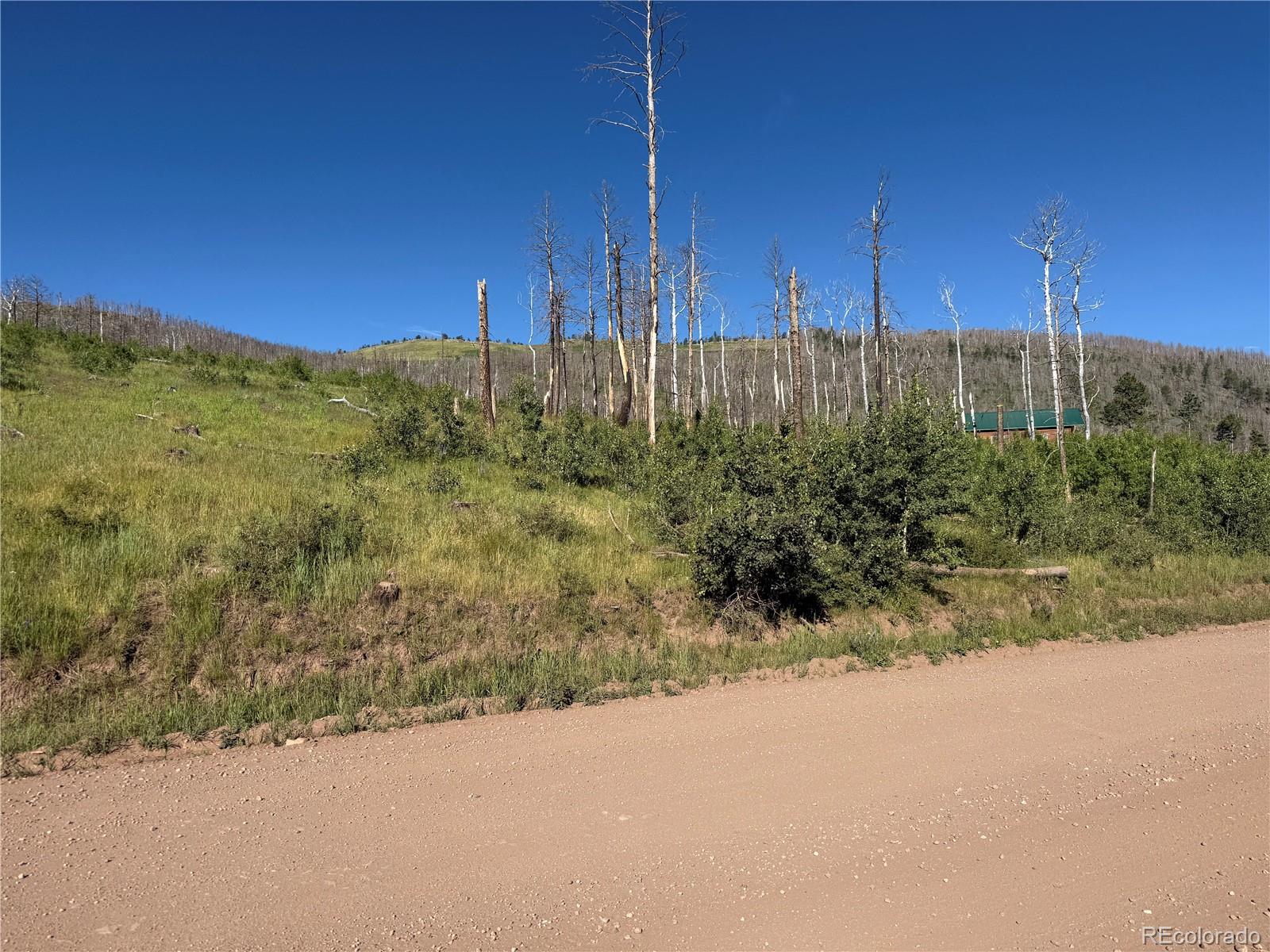 Lot 775 Forbes Park Road Fort Garland CO 81133