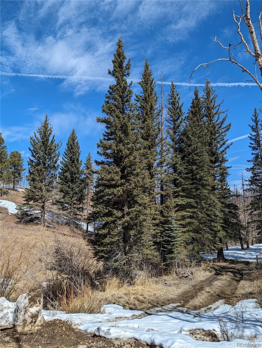 60 Powder Horn Trail Bellvue CO 80512
