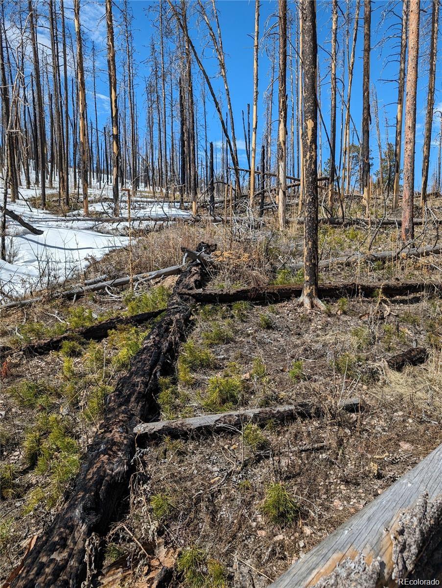 60 Powder Horn Trail Bellvue CO 80512