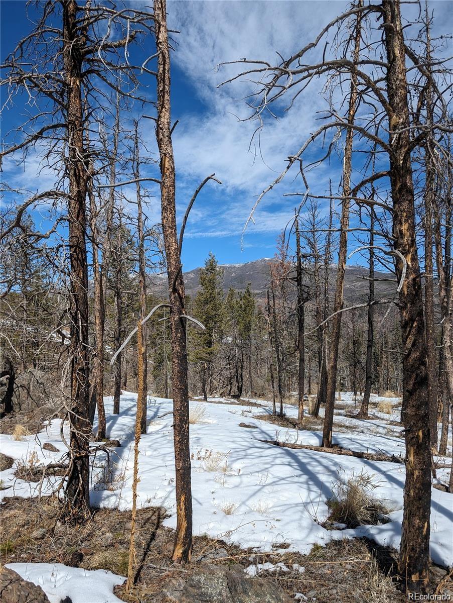 60 Powder Horn Trail Bellvue CO 80512