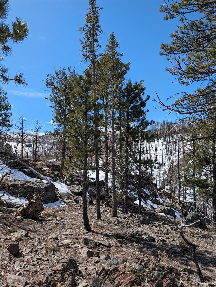 60 Powder Horn Trail Bellvue CO 80512