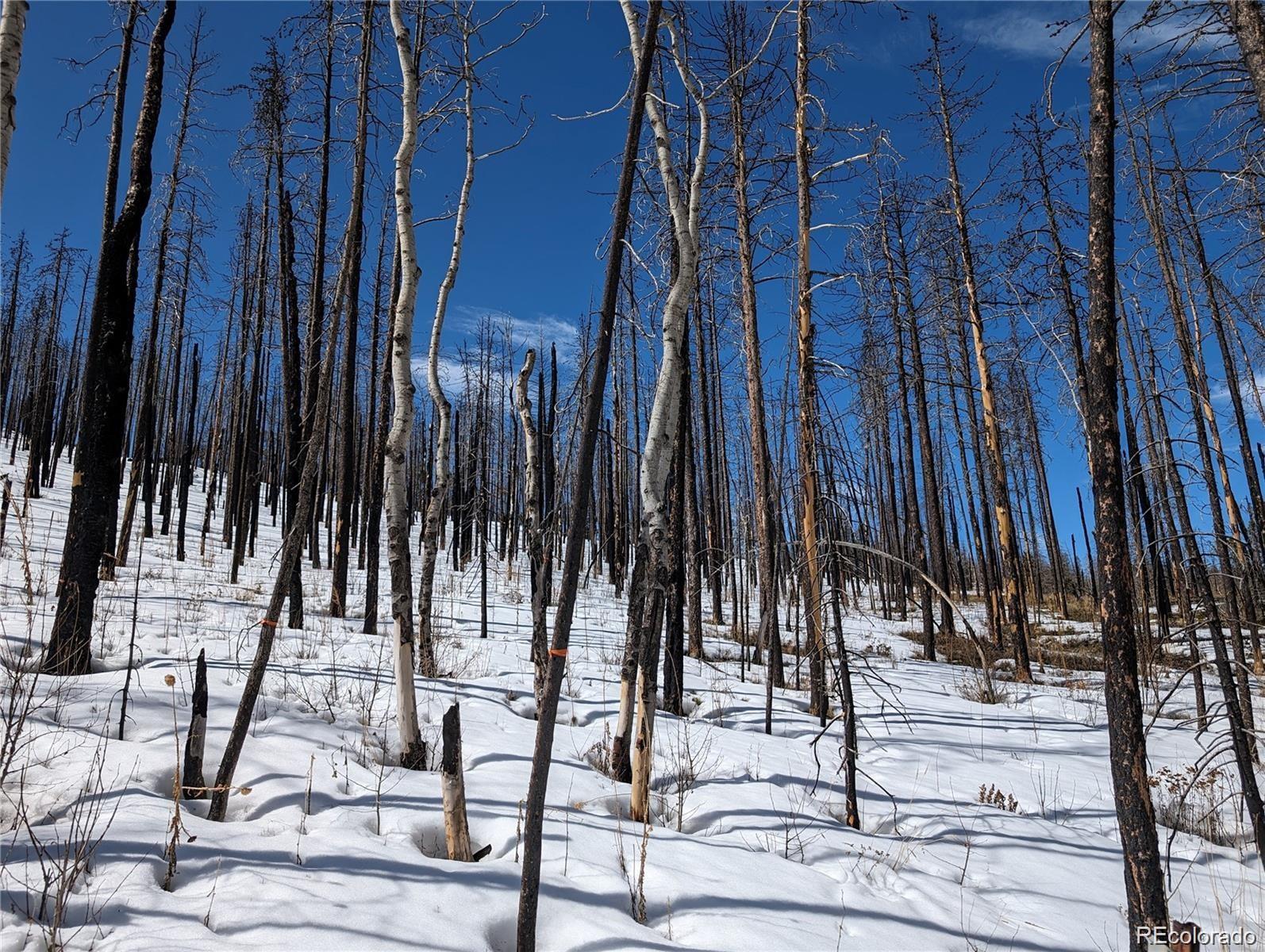 60 Powder Horn Trail Bellvue CO 80512