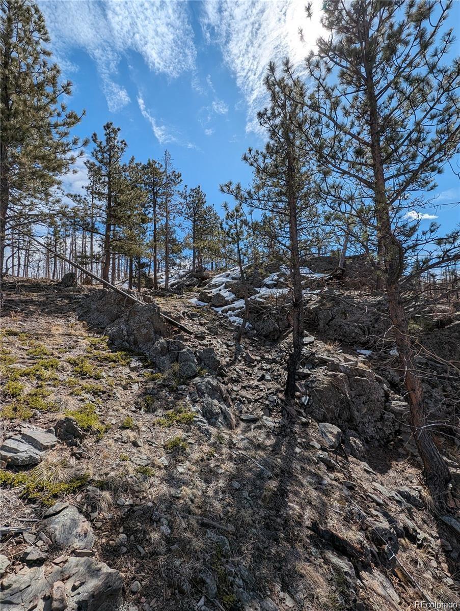 60 Powder Horn Trail Bellvue CO 80512