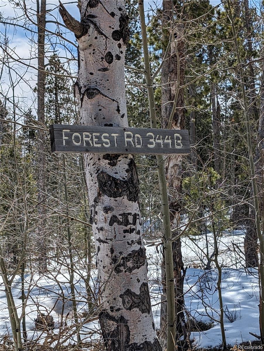60 Powder Horn Trail Bellvue CO 80512