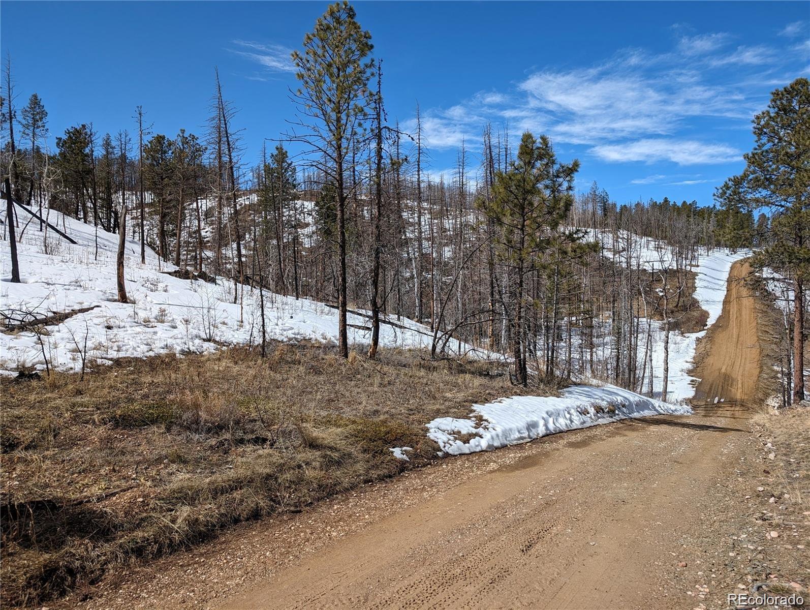 60 Powder Horn Trail Bellvue CO 80512