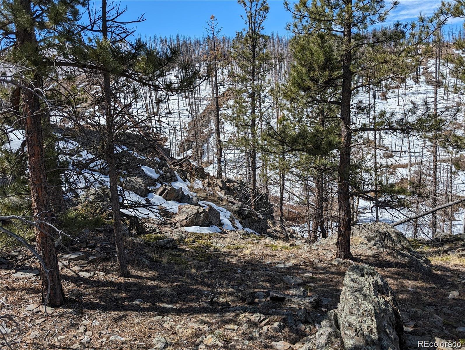 60 Powder Horn Trail Bellvue CO 80512
