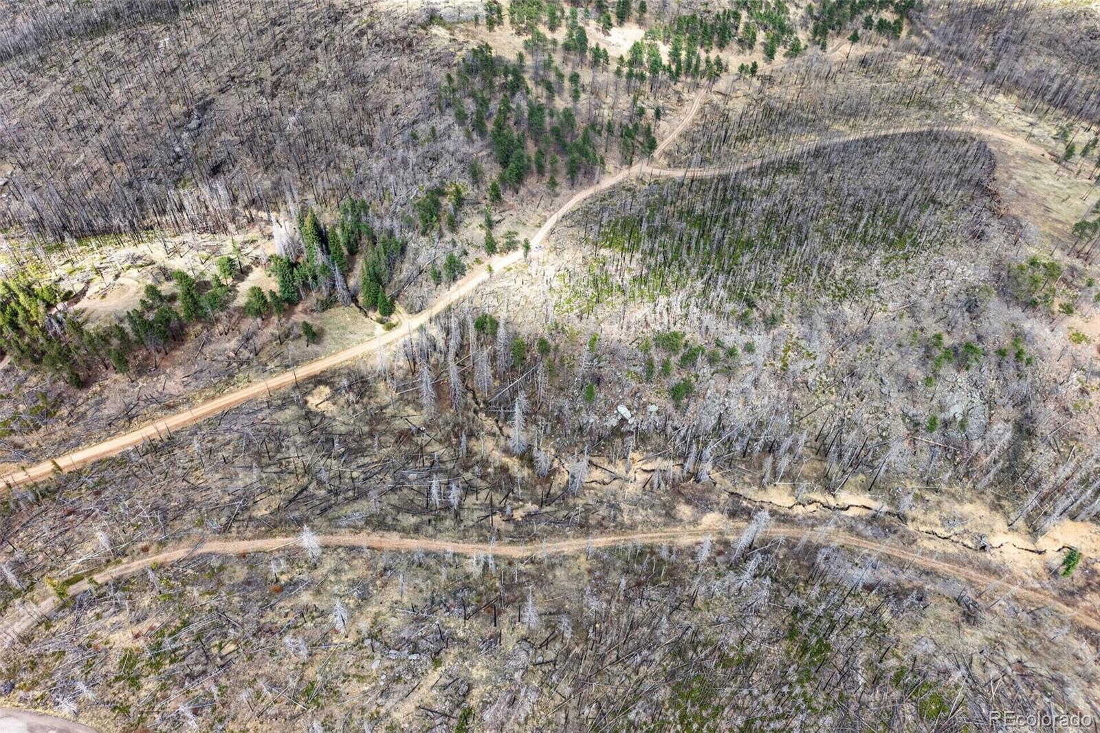 60 Powder Horn Trail Bellvue CO 80512
