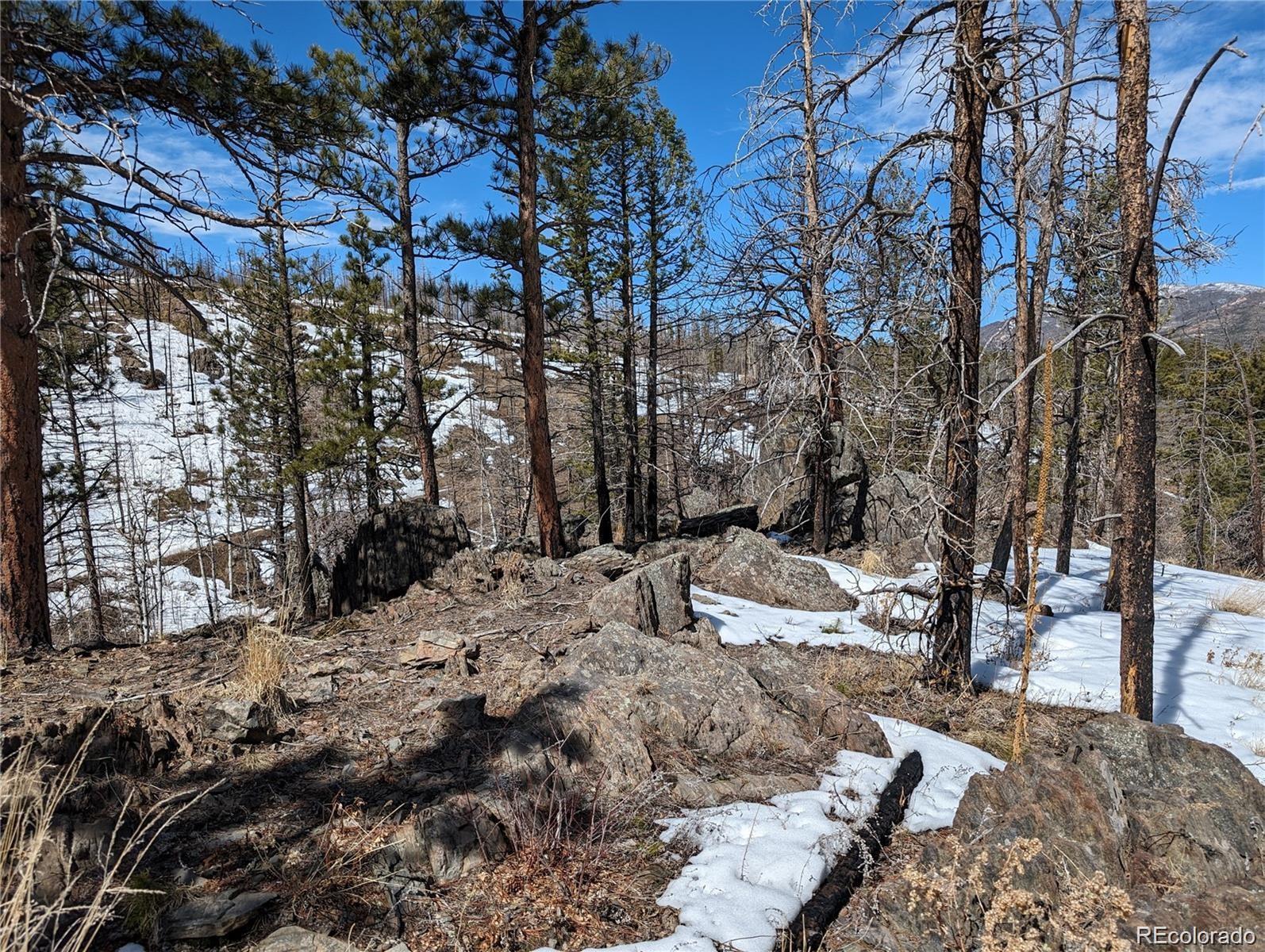 60 Powder Horn Trail Bellvue CO 80512