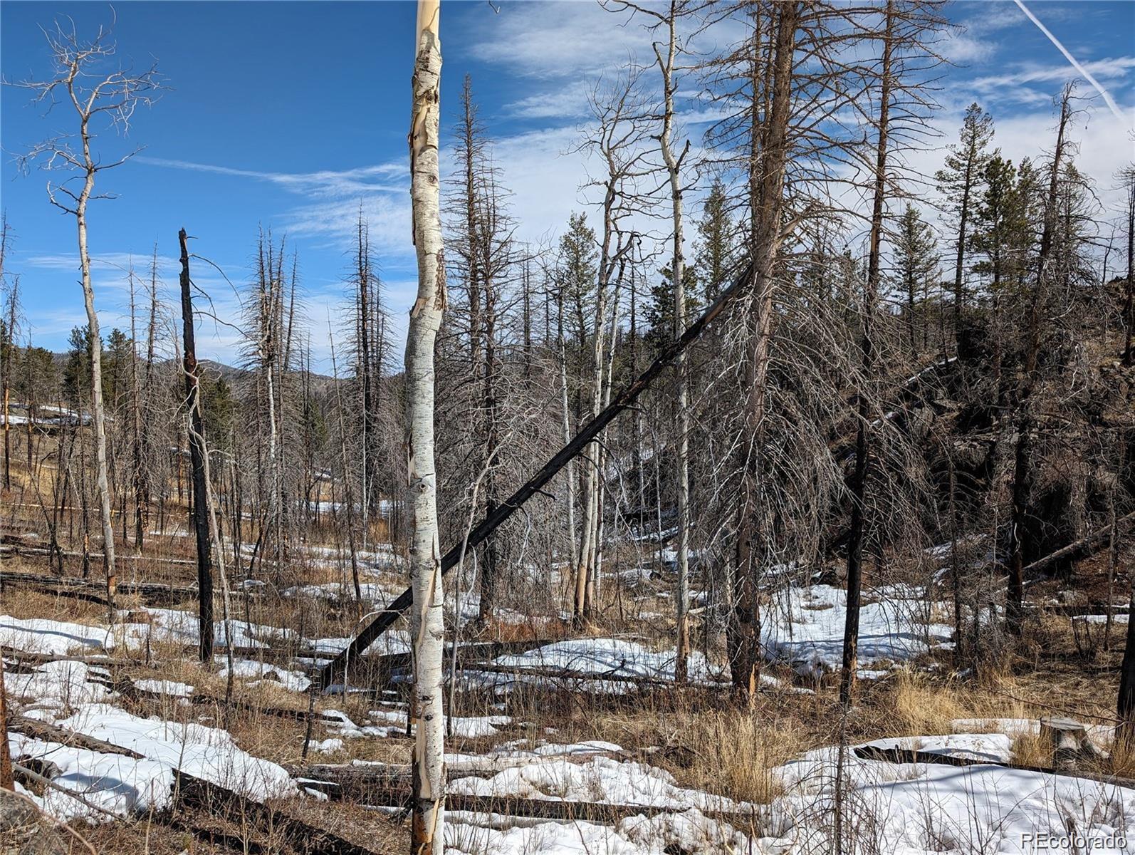 60 Powder Horn Trail Bellvue CO 80512