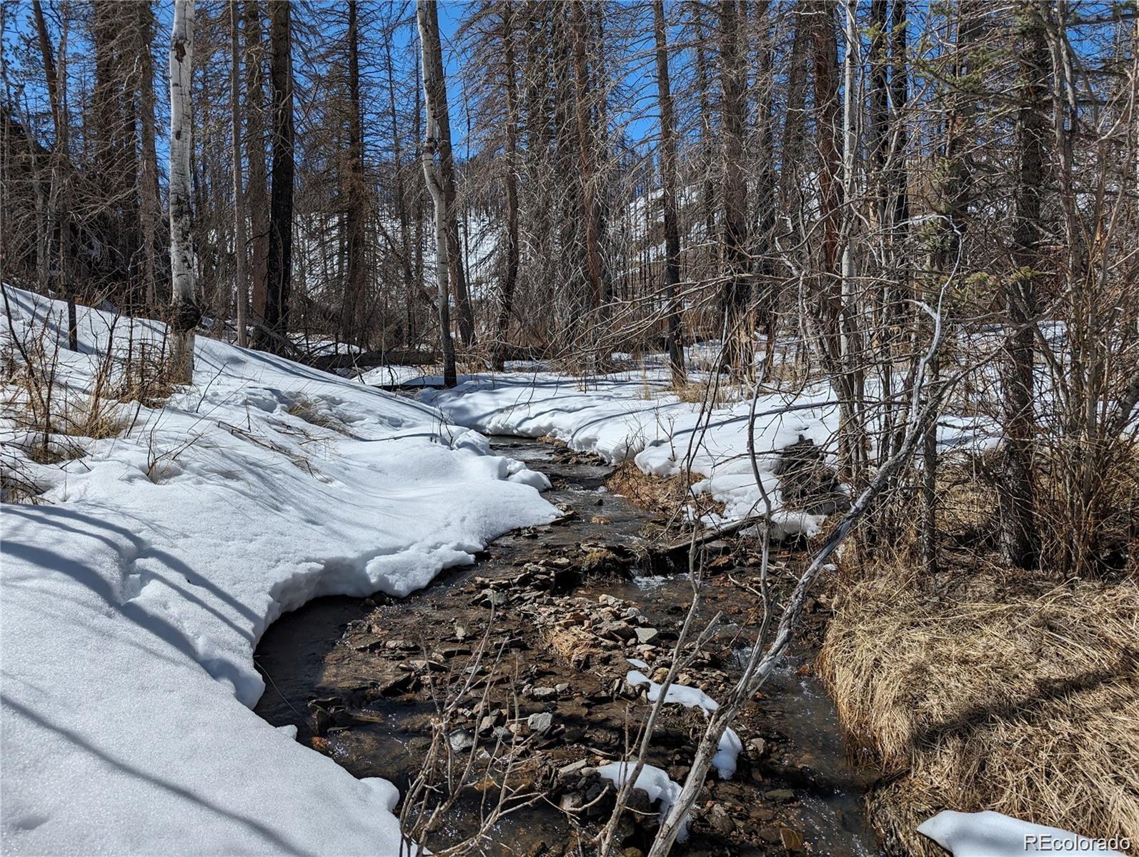 60 Powder Horn Trail Bellvue CO 80512