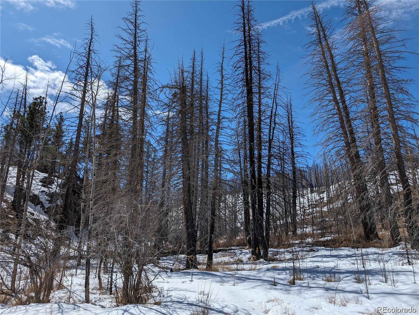 60 Powder Horn Trail Bellvue CO 80512
