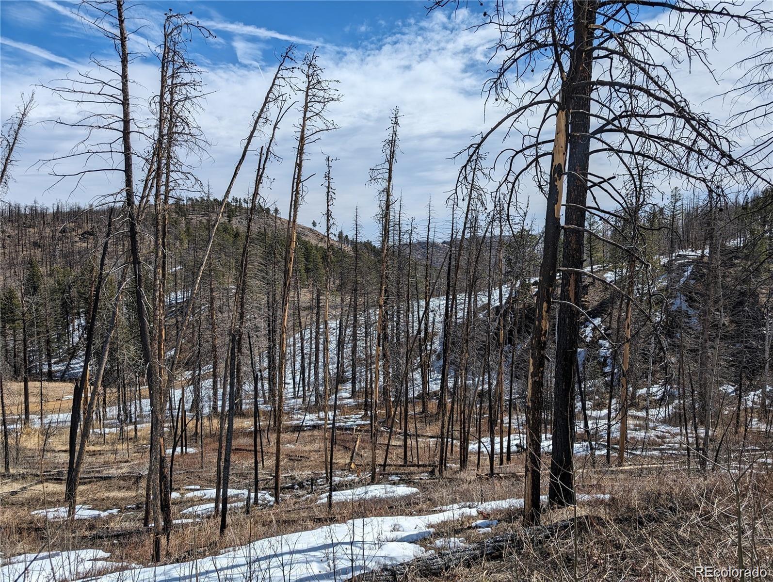 60 Powder Horn Trail Bellvue CO 80512