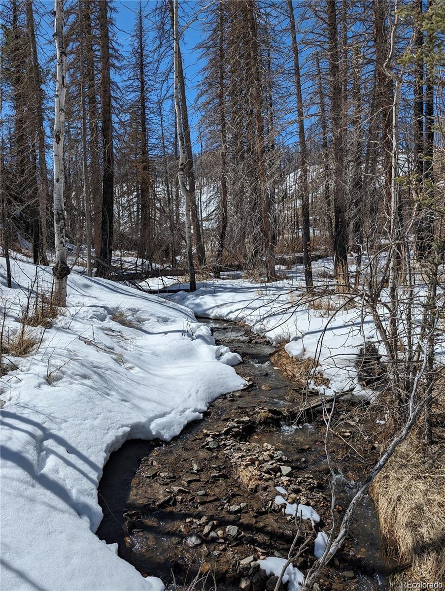 60 Powder Horn Trail Bellvue CO 80512