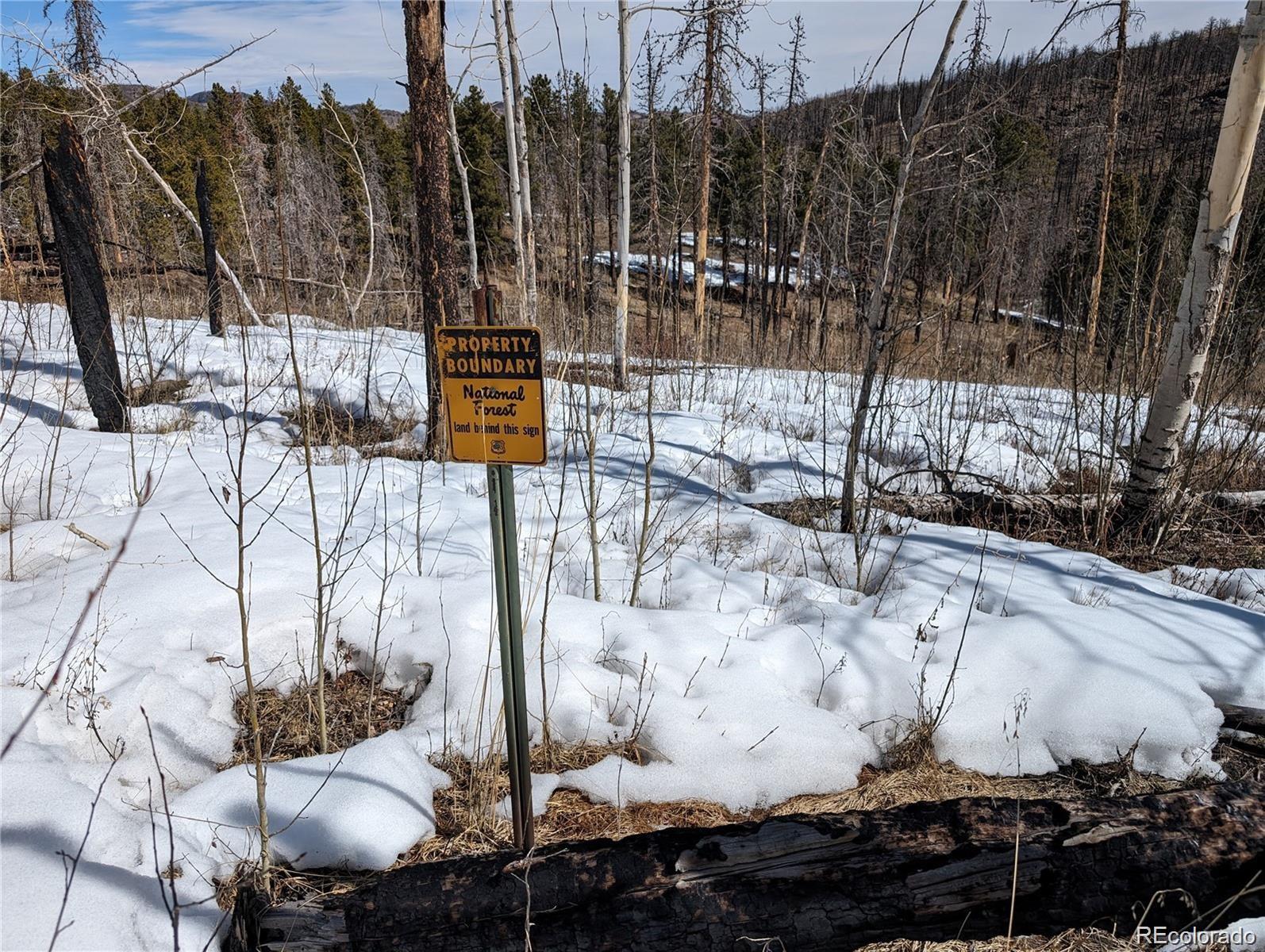 60 Powder Horn Trail Bellvue CO 80512