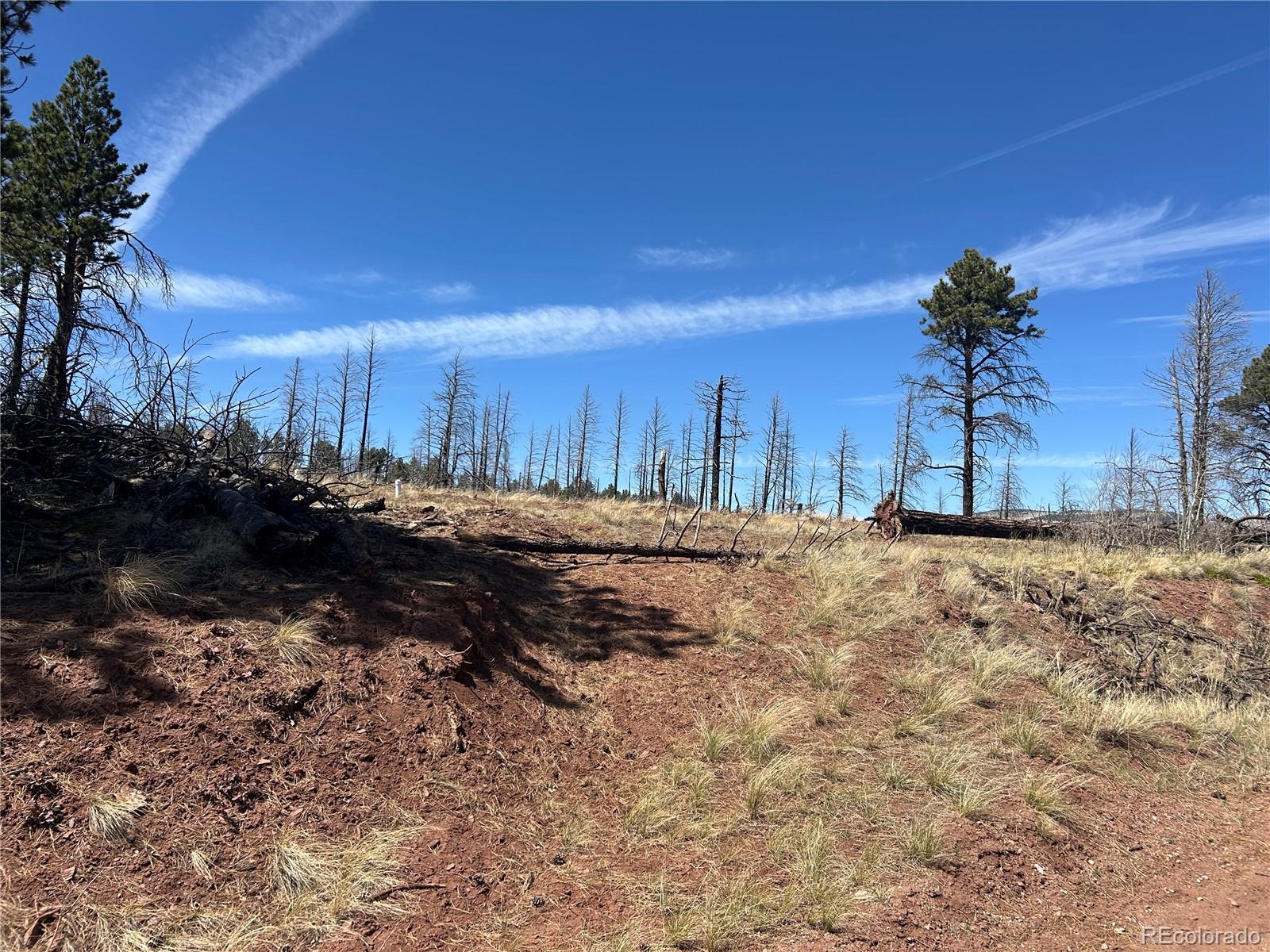 Lot 542 Forbes Park Fort Garland CO 81133