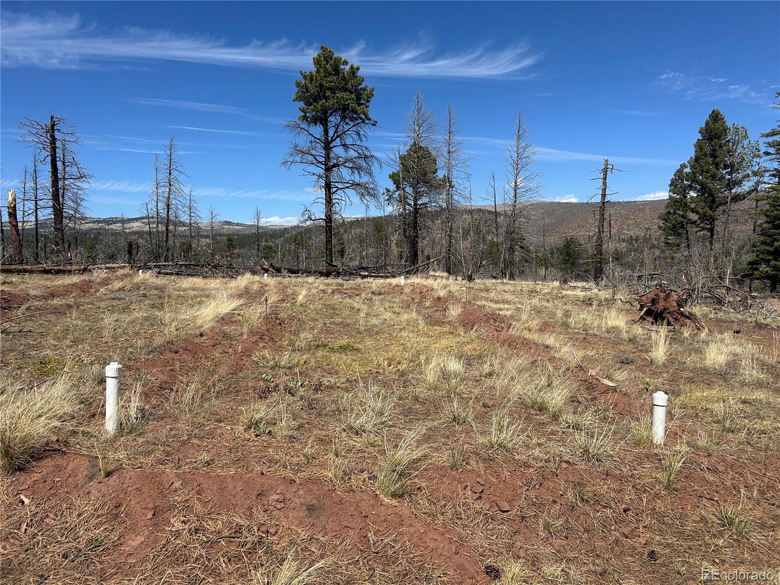 Lot 542 Forbes Park Fort Garland CO 81133