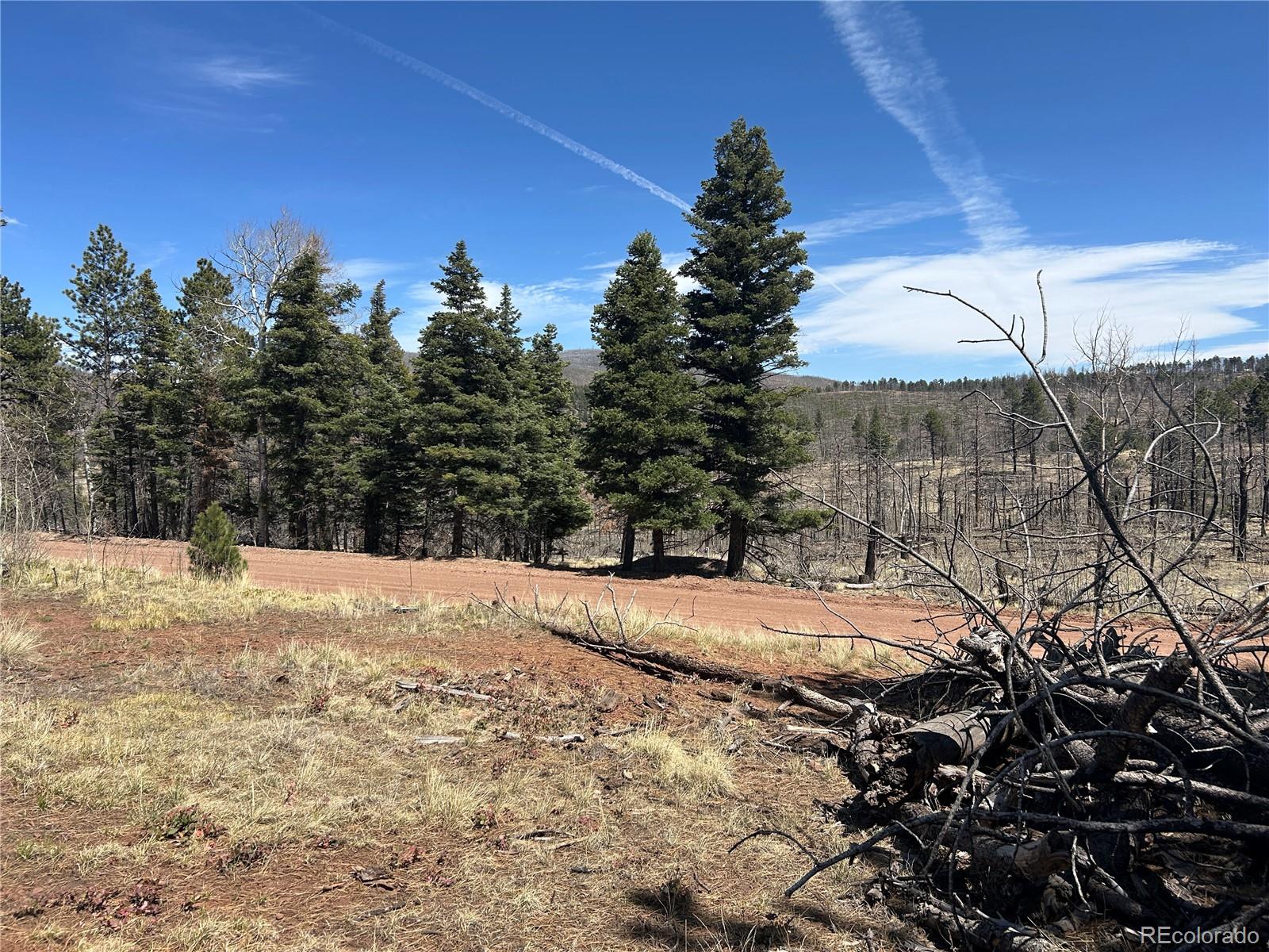 Lot 542 Forbes Park Fort Garland CO 81133