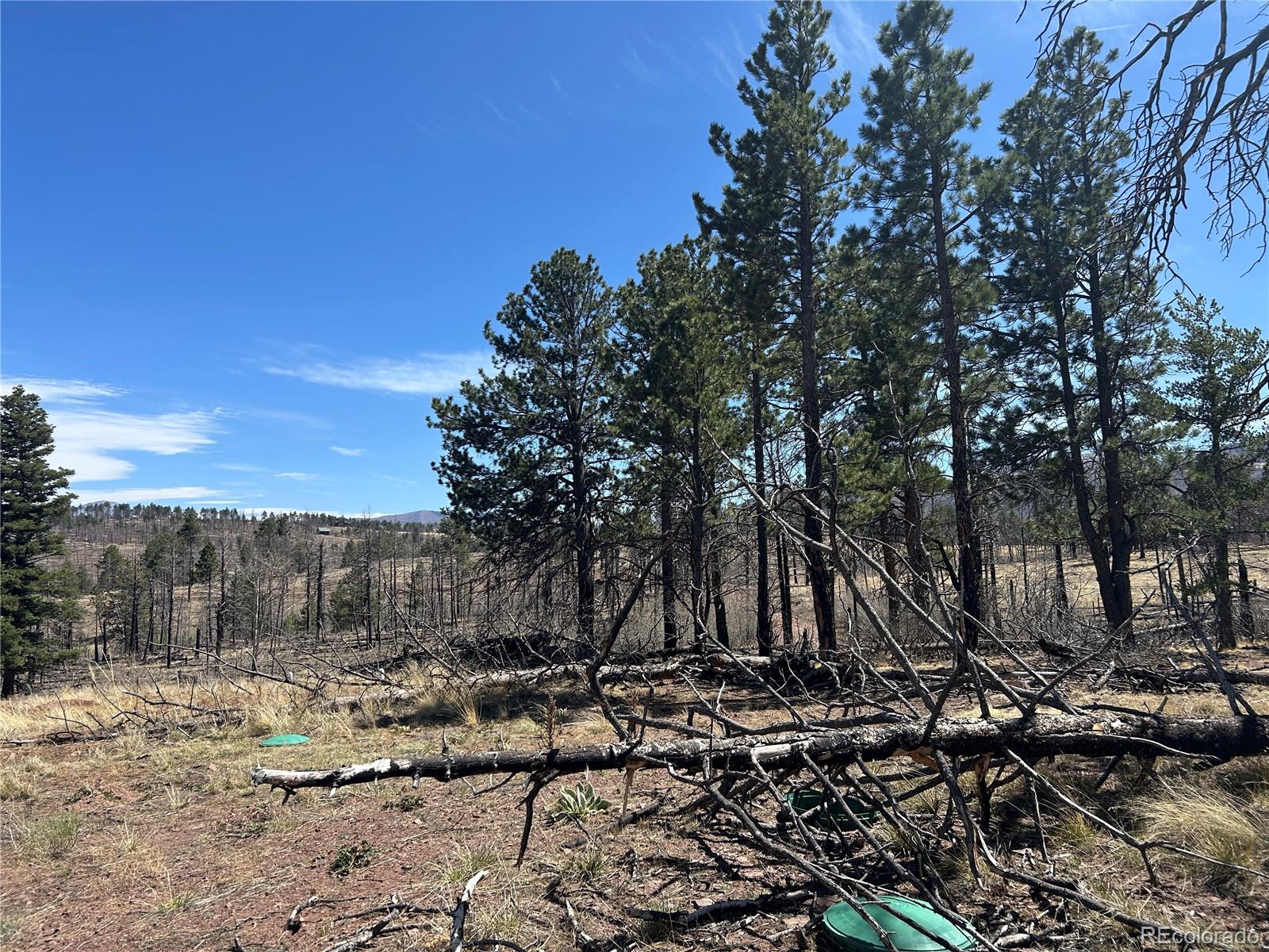 Lot 542 Forbes Park Fort Garland CO 81133